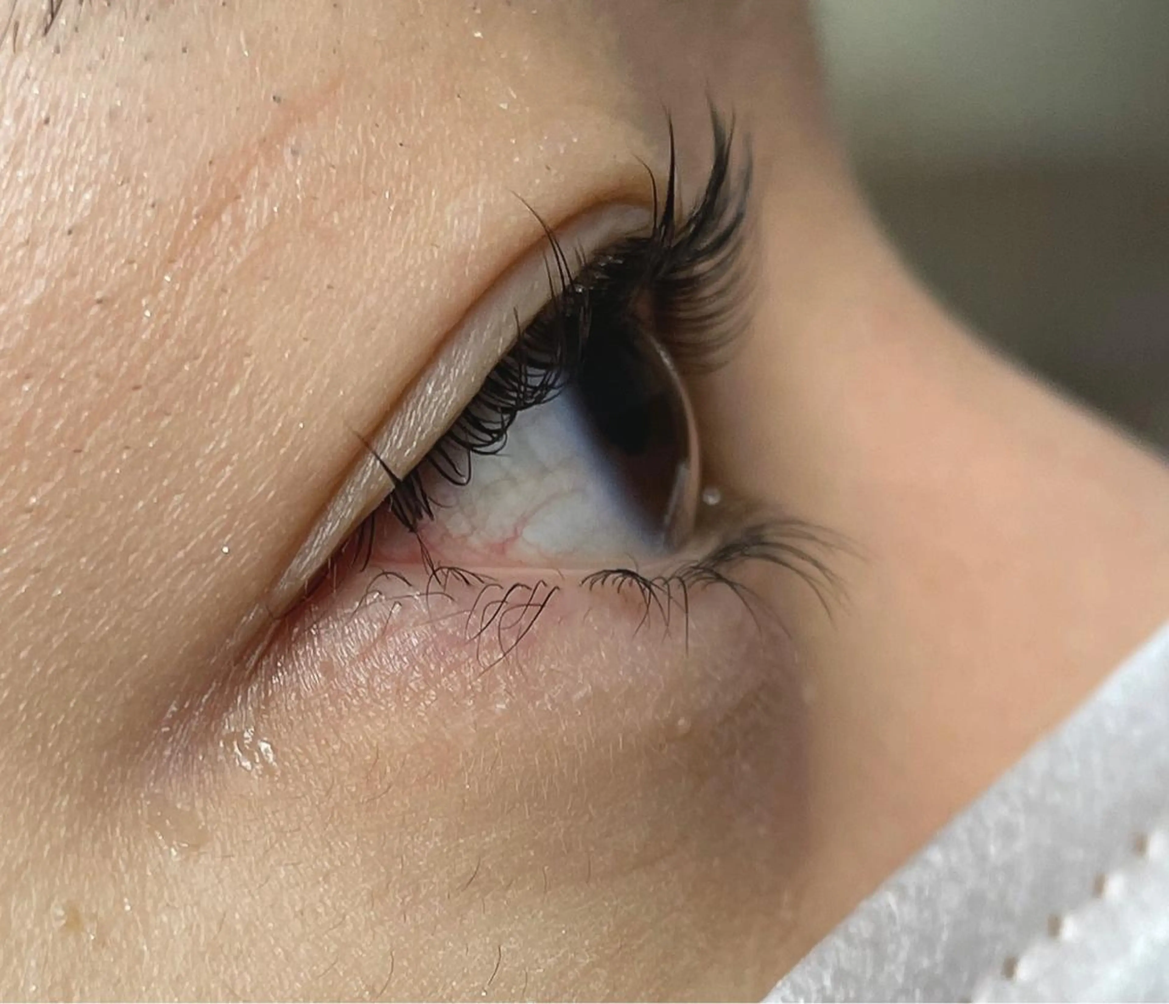 まつげパーマ （パリジェンヌ）上下セット トリートメント付の写真