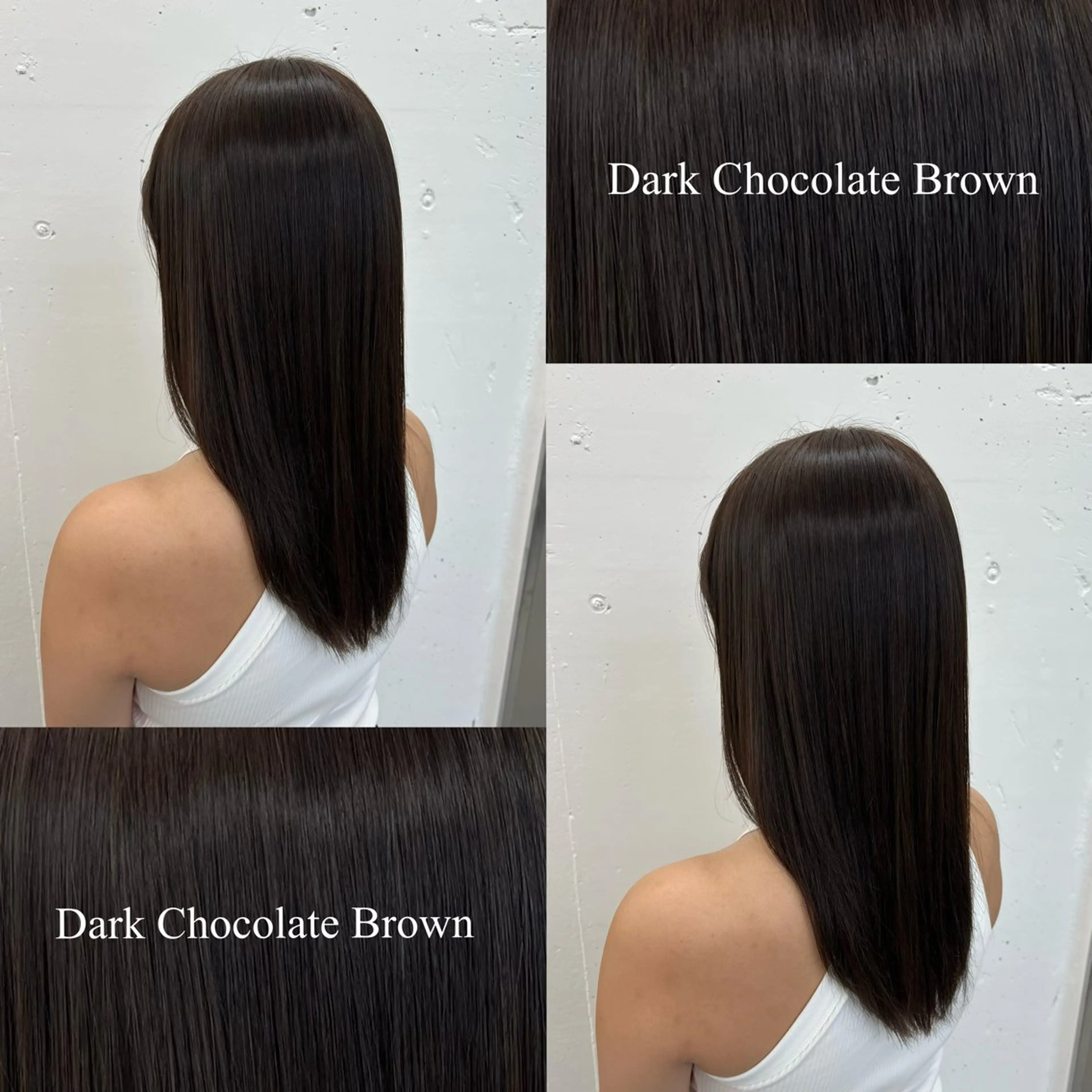 ミディアム カラー ブリーチ ブラウンカラー チョコレートブラウン 透明感カラー ダークブラウン カット ヘアカラー 🌷︎あすか🌷 JILLSTUDIOのヘアスタイル