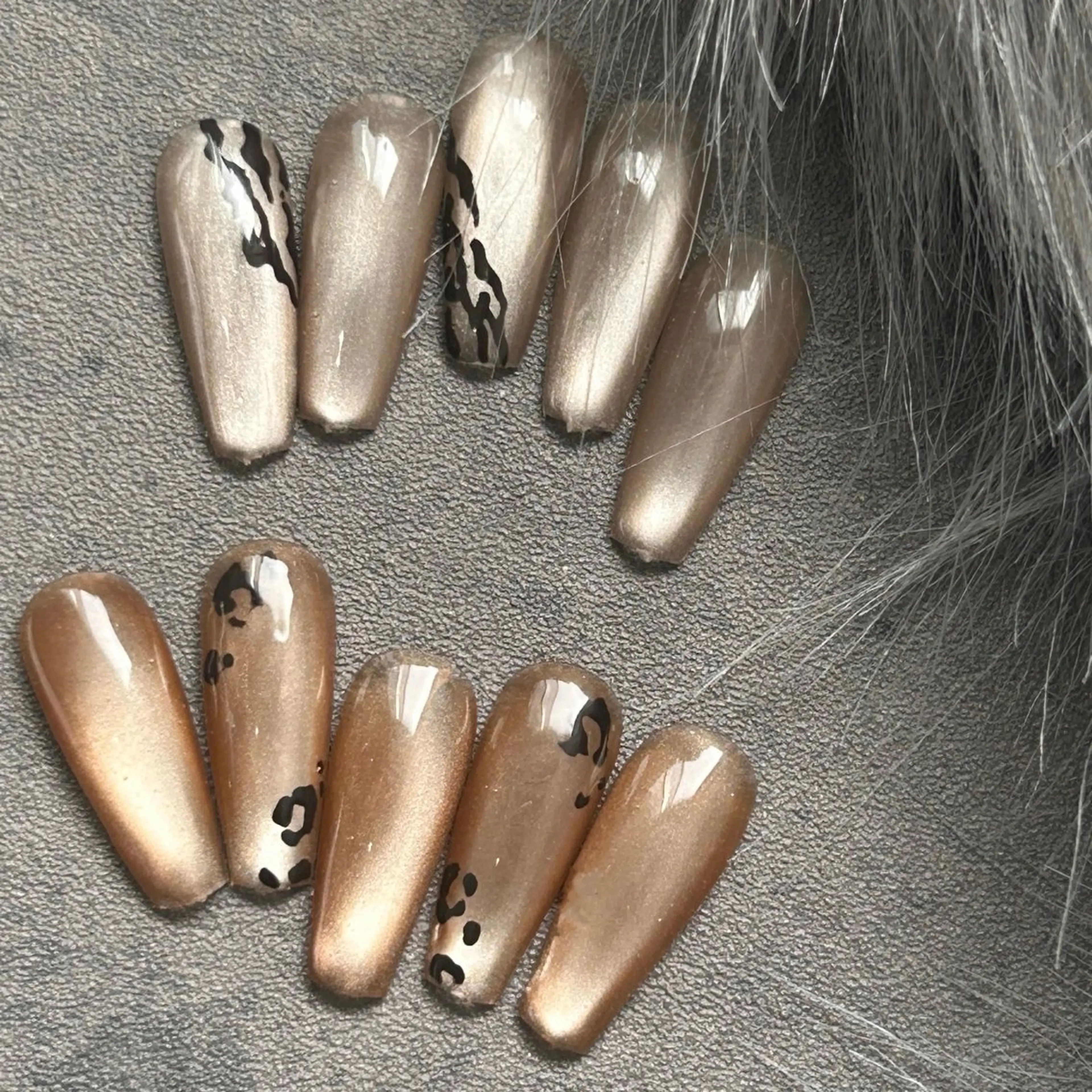 アニマル柄マグネットの写真