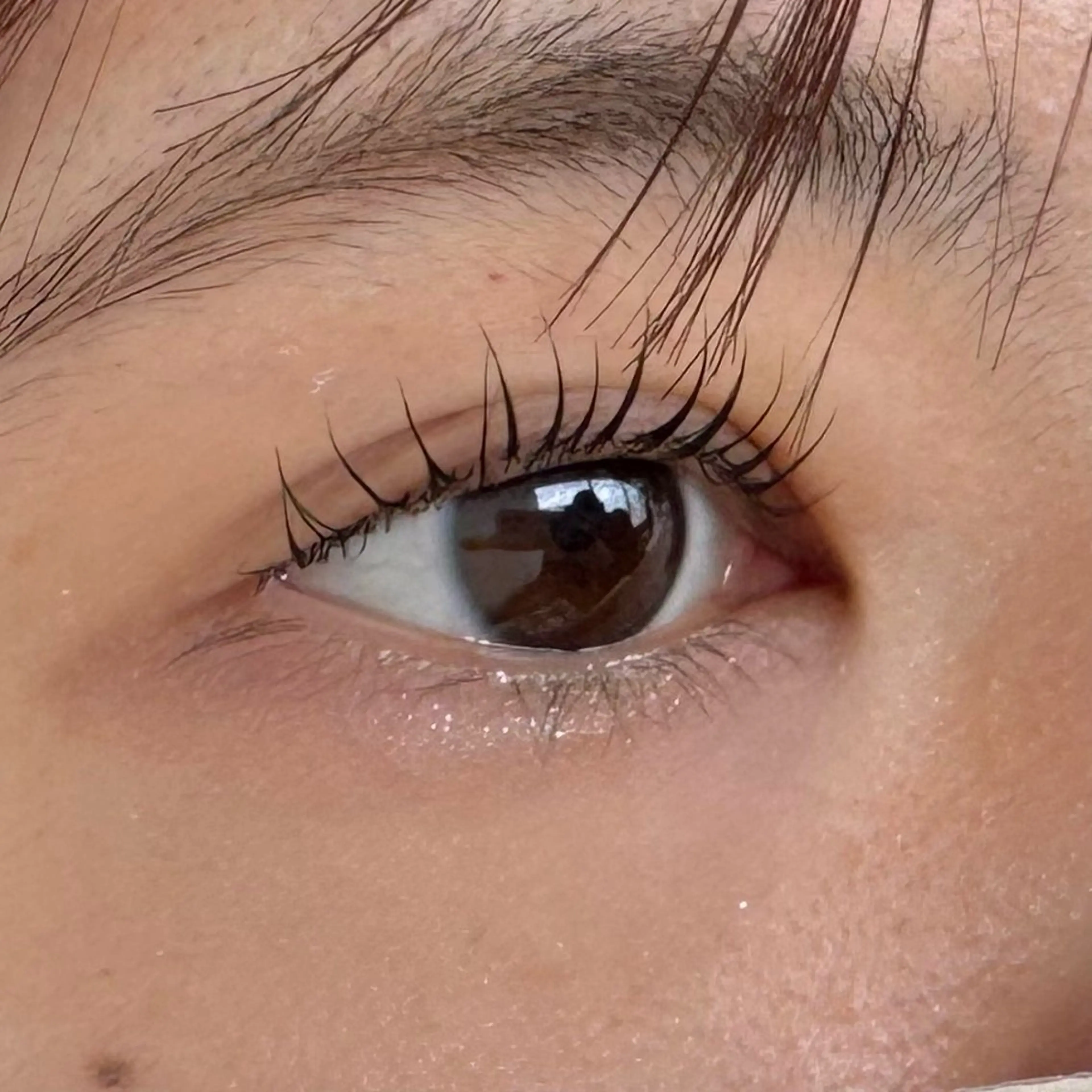 マツエク・マツパ マツパ EYELA 小針店 神子島の眉毛・アイブロウイメージ