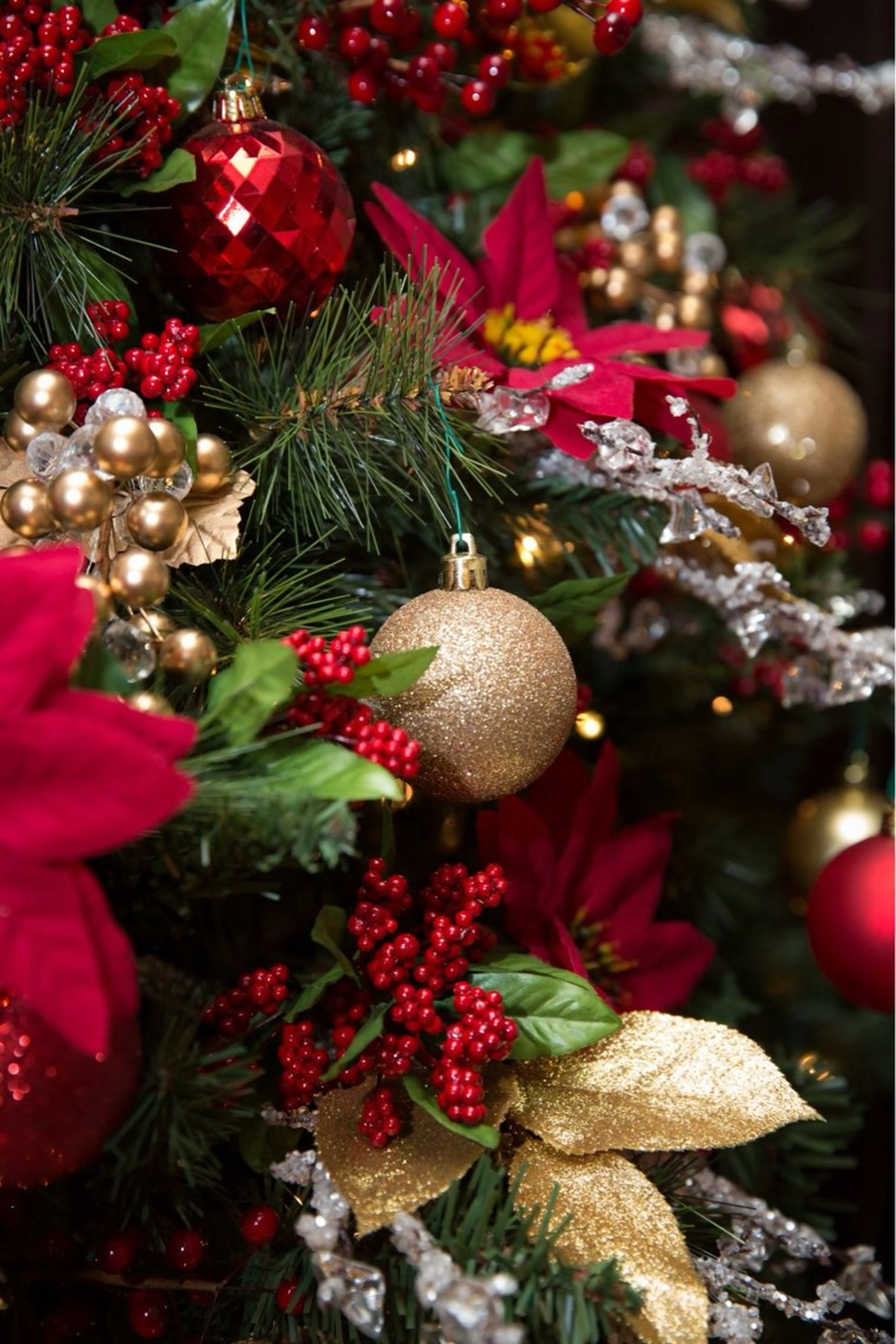 Iwasaki Nene☾店長のマツエク・マツパデザイン