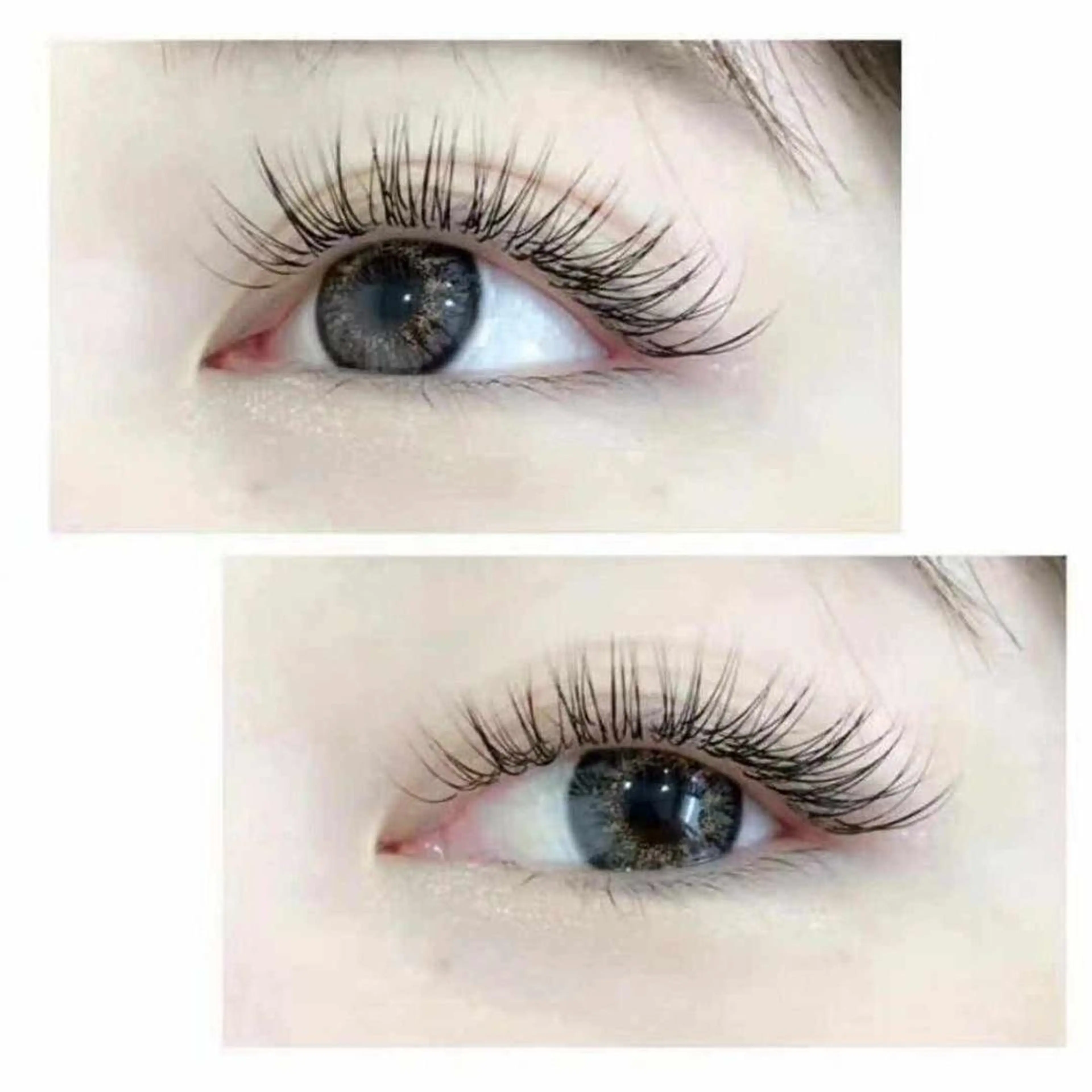 《まつげ》フラットラッシュ100本¥4100の写真