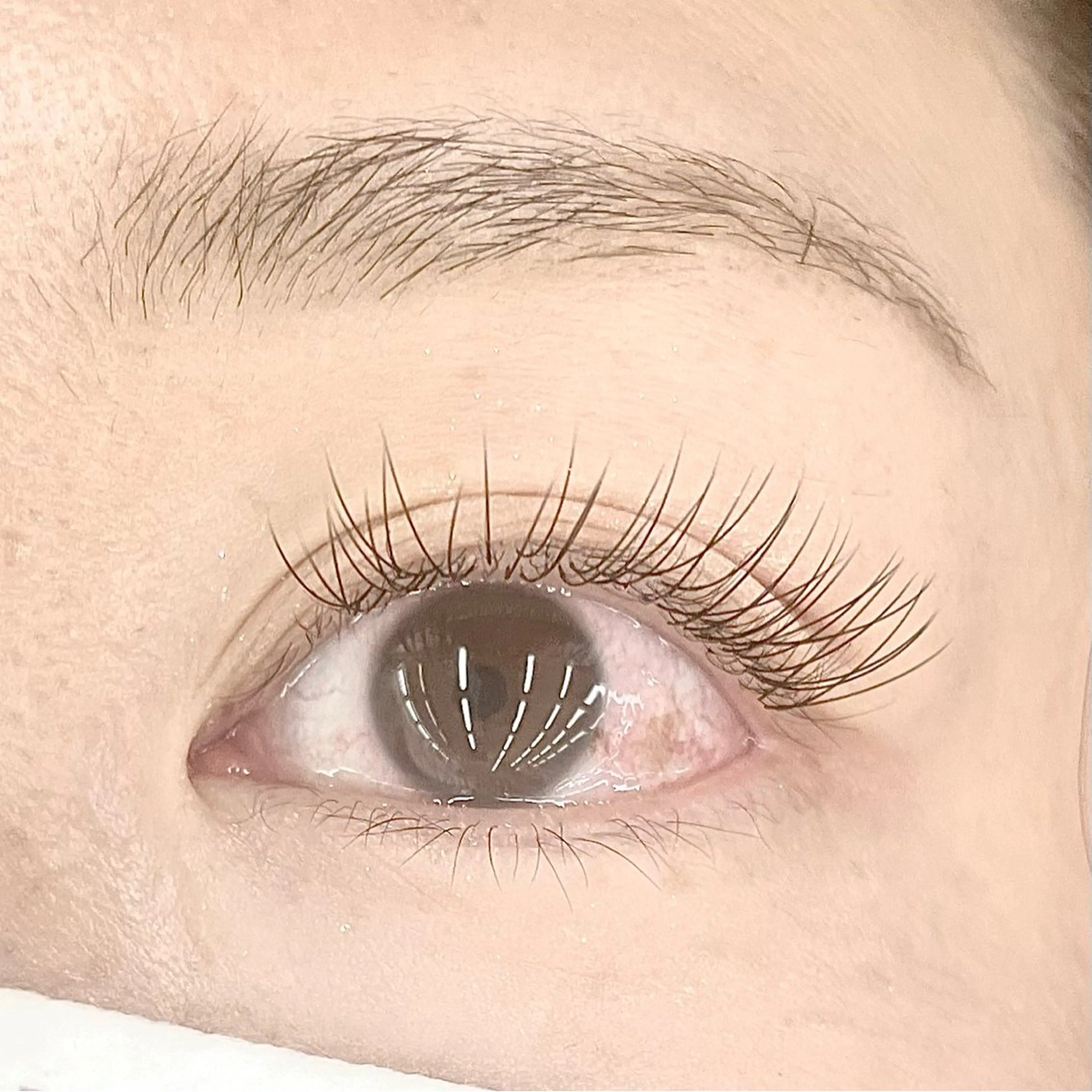 マツエク・マツパ Eyelash 大阪梅田 MAXKELLY【アイラッシュ ウメダ マックスケリー】所属・🦋maxkelly .mizuki🦋のマツエク・マツパデザイン