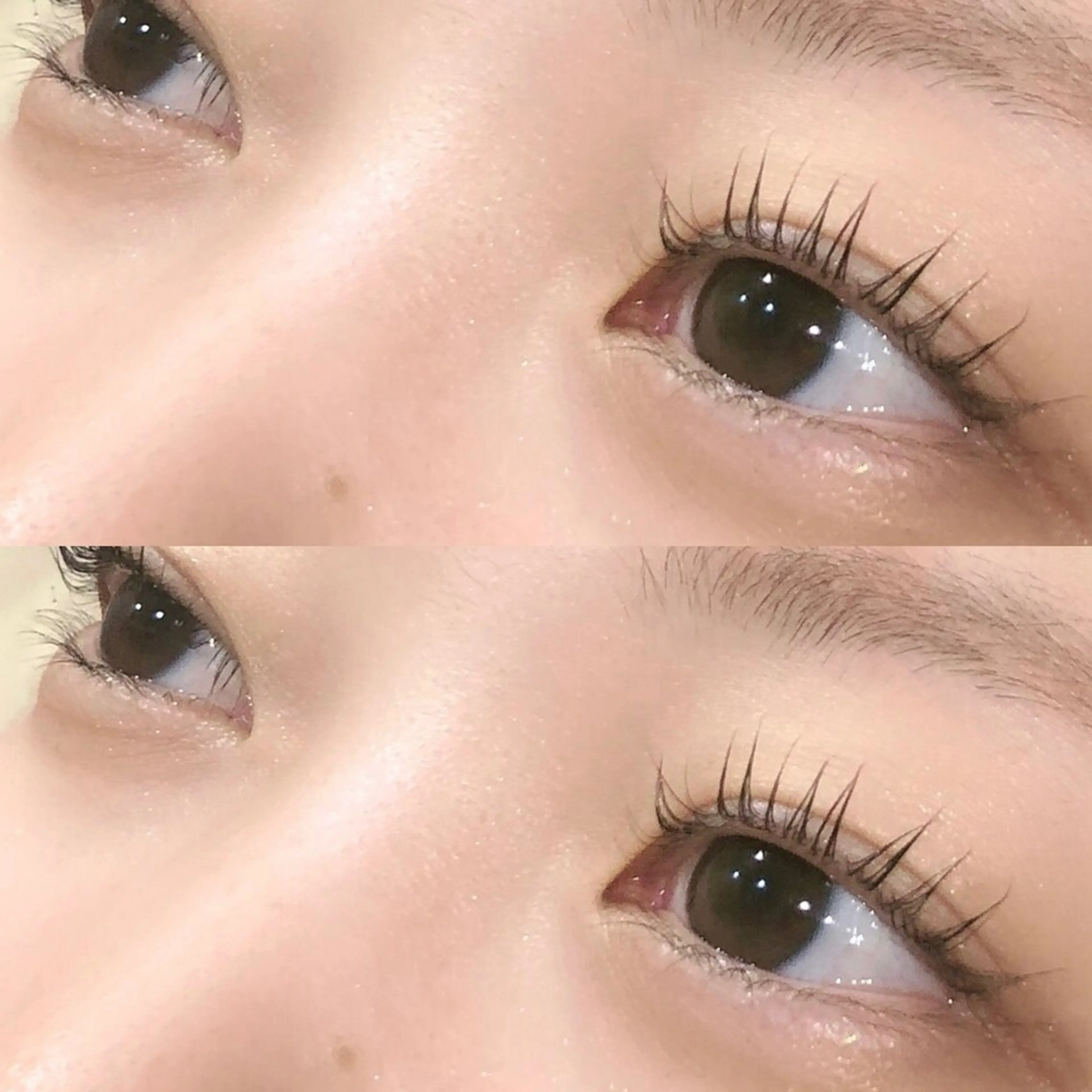 学割⭐︎まつげパーマ+根本美容液+カール長持ちコーティングの写真