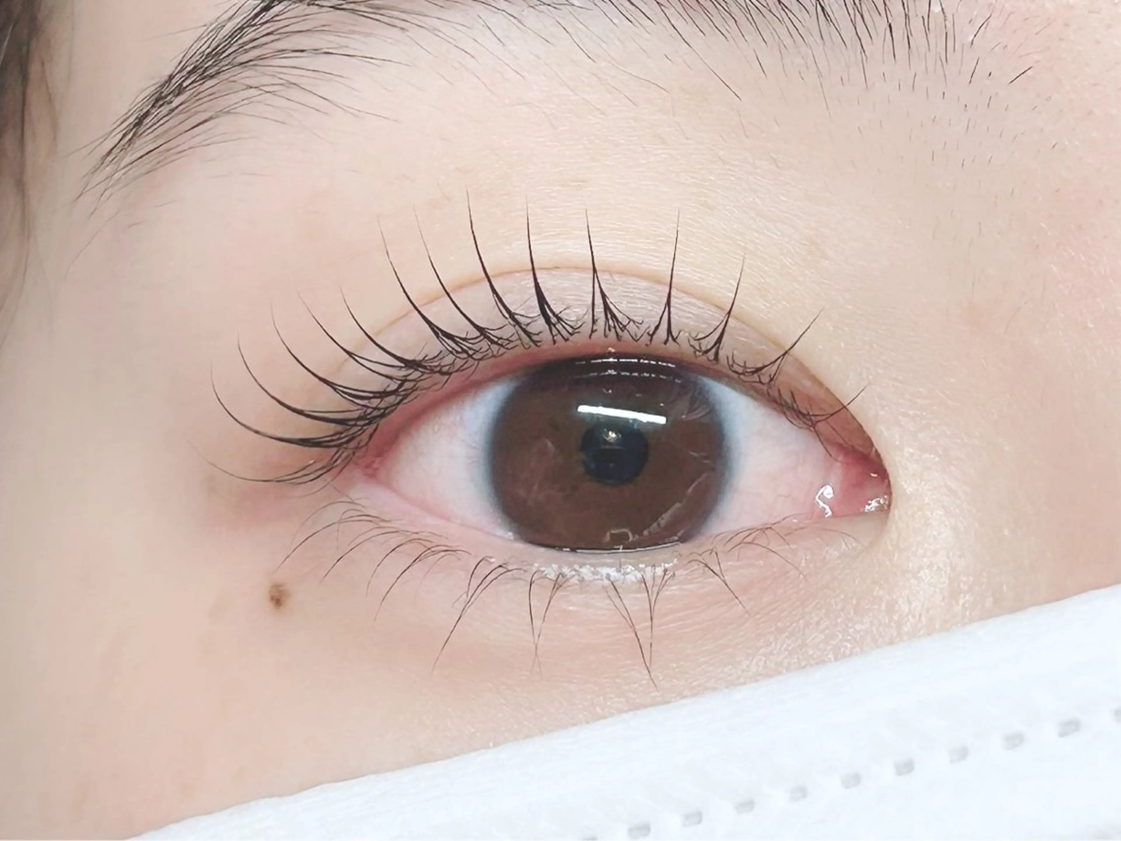 マツエク・マツパ まつげパーマ 下まつげエクステ KYE by Mag momo所属・佐藤 彩香のマツエク・マツパデザイン