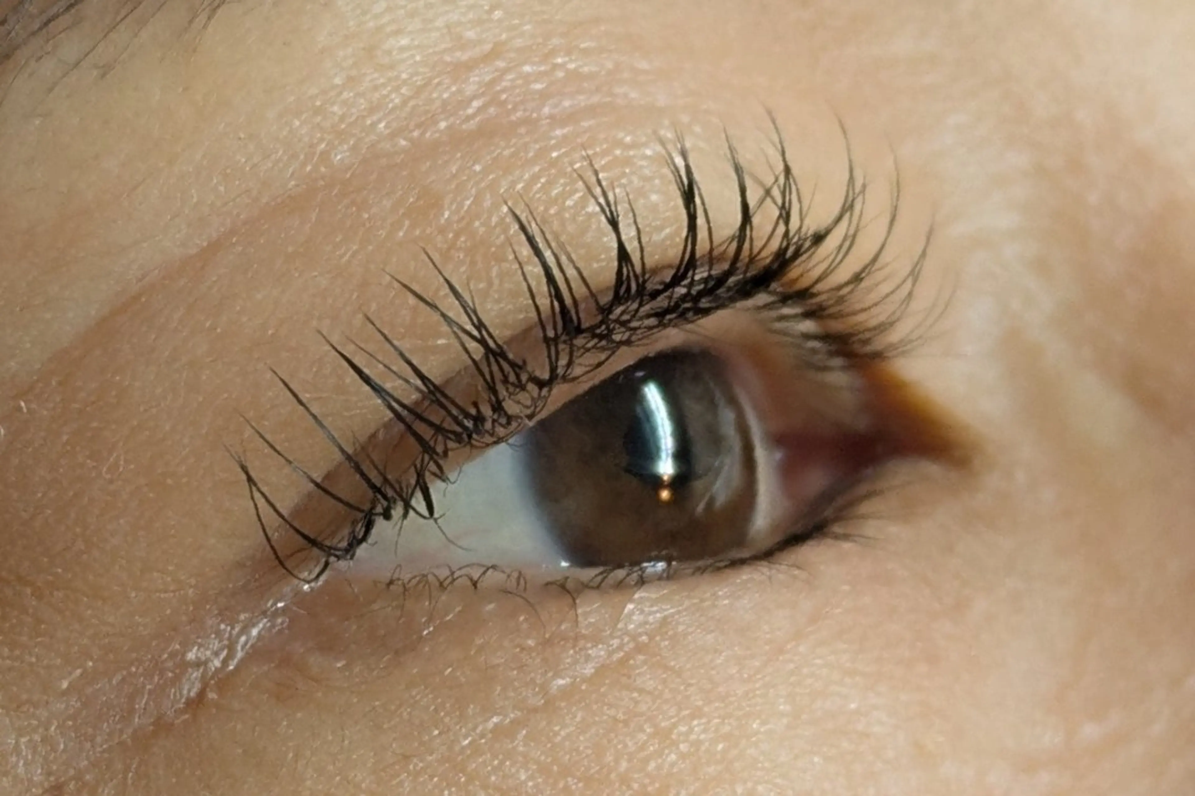 ✨ 二回目限定メニュー ✨フラットラッシュ100本の写真