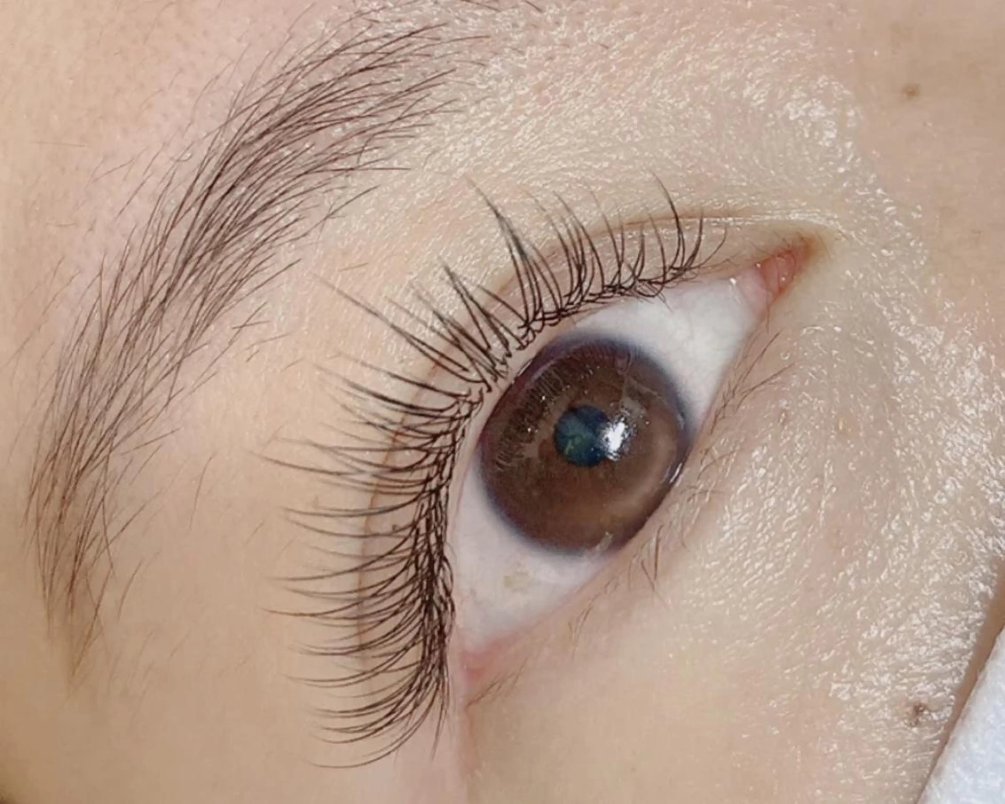 マツエク・マツパ Cute B e au t yのマツエク・マツパデザイン