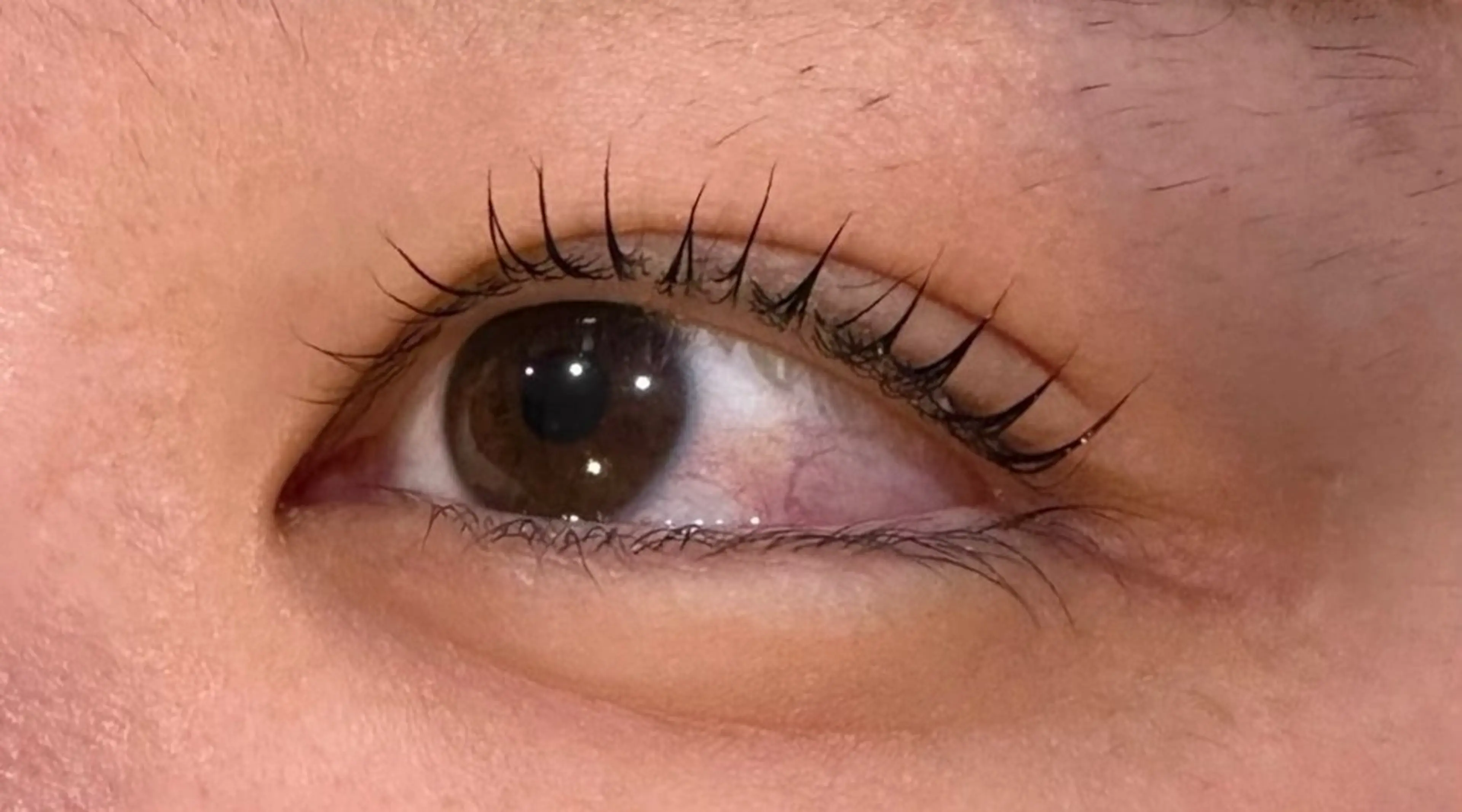 マツエク・マツパ Sylph 川嶋乙羽のマツエク・マツパデザイン