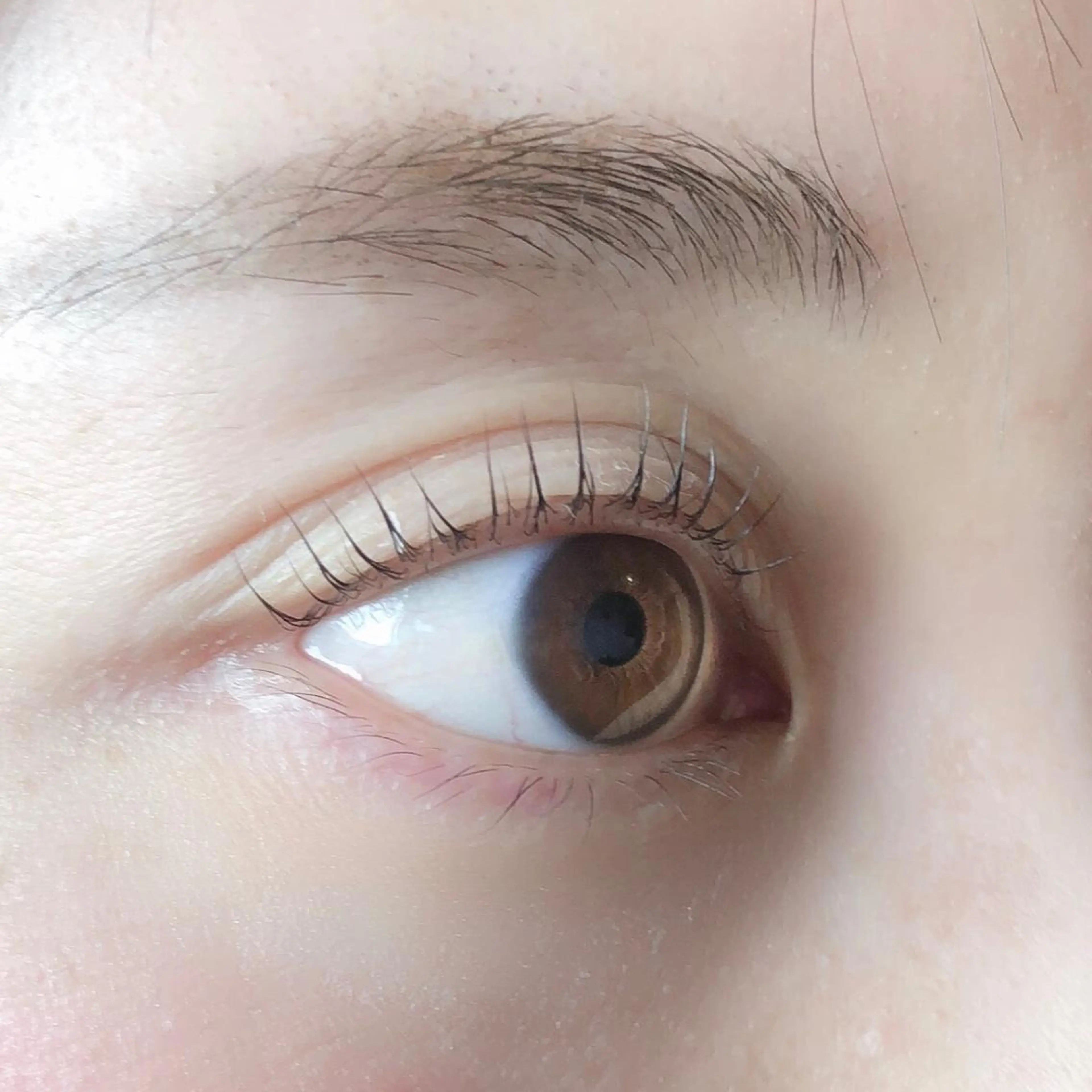 マツエク・マツパ I'myu beauty&eyelash所属・山浦 裕治の眉毛・アイブロウイメージ