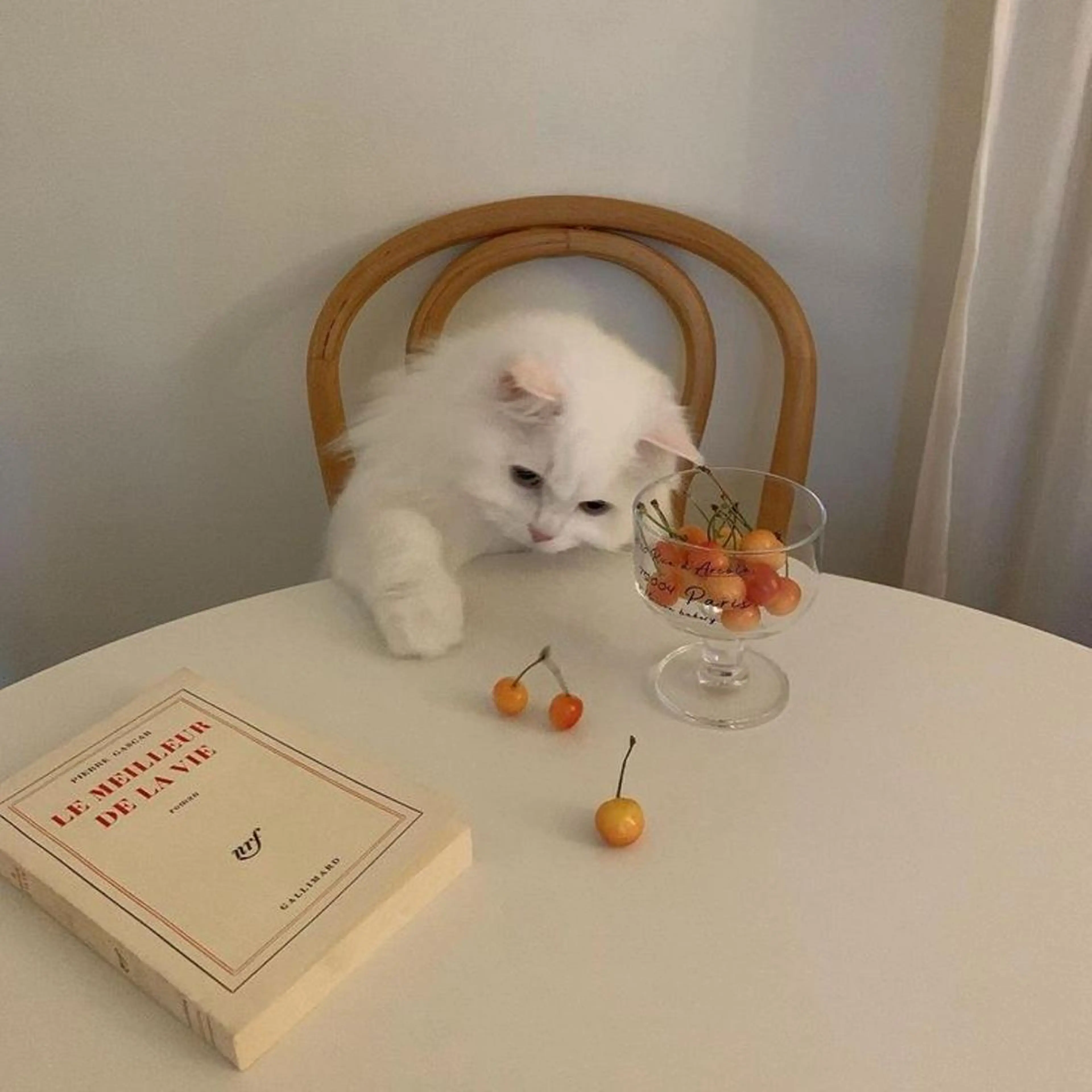 ∴Sanae. ∴ トータルビューティーのネイルデザイン