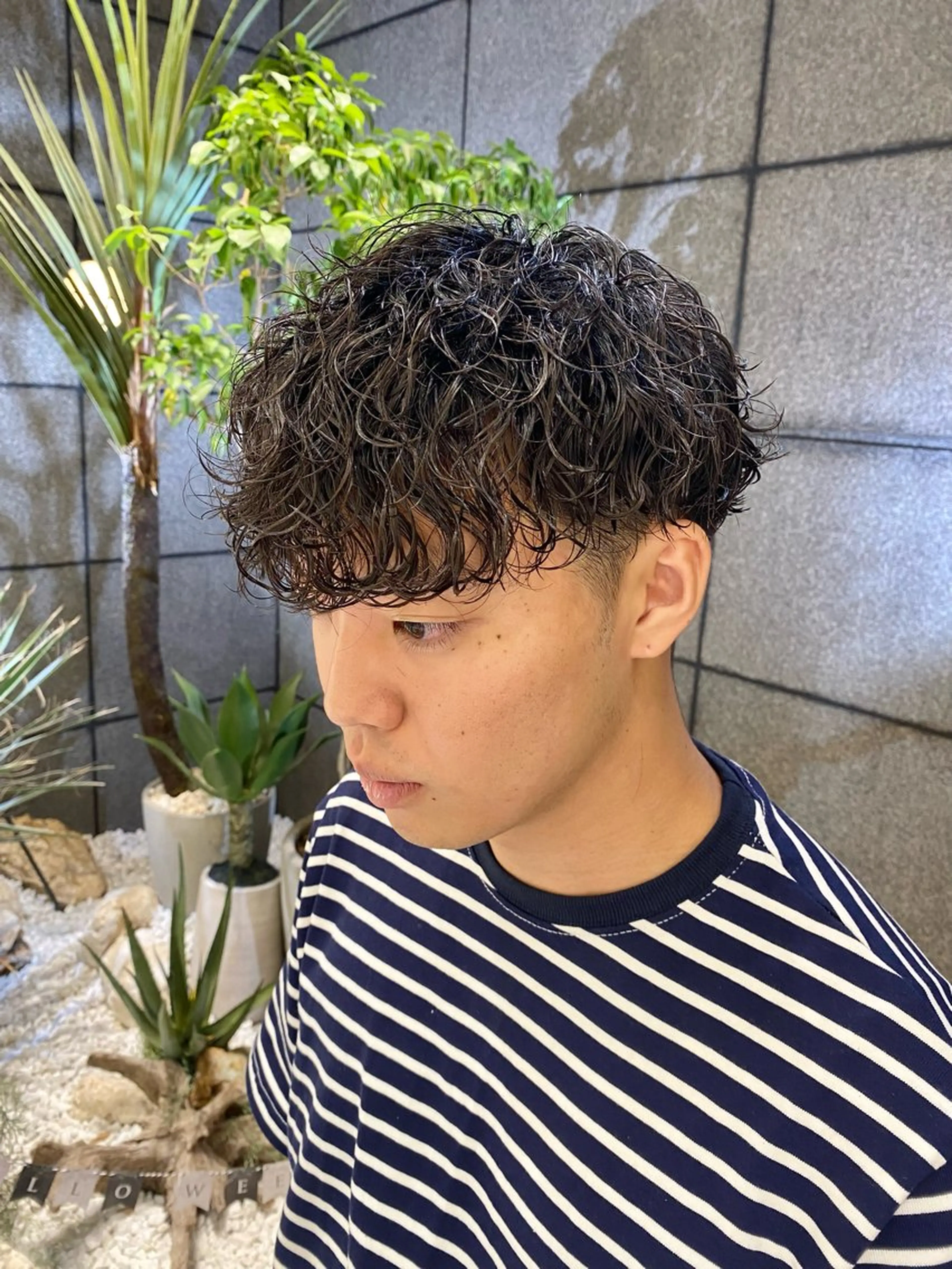 パーマ メンズ フェードカット メンズメッシュ メンズパーマ プードルパーマ スキンフェード カット パーマ 酸スト/フェザー パーマ/三谷海斗のヘアスタイル