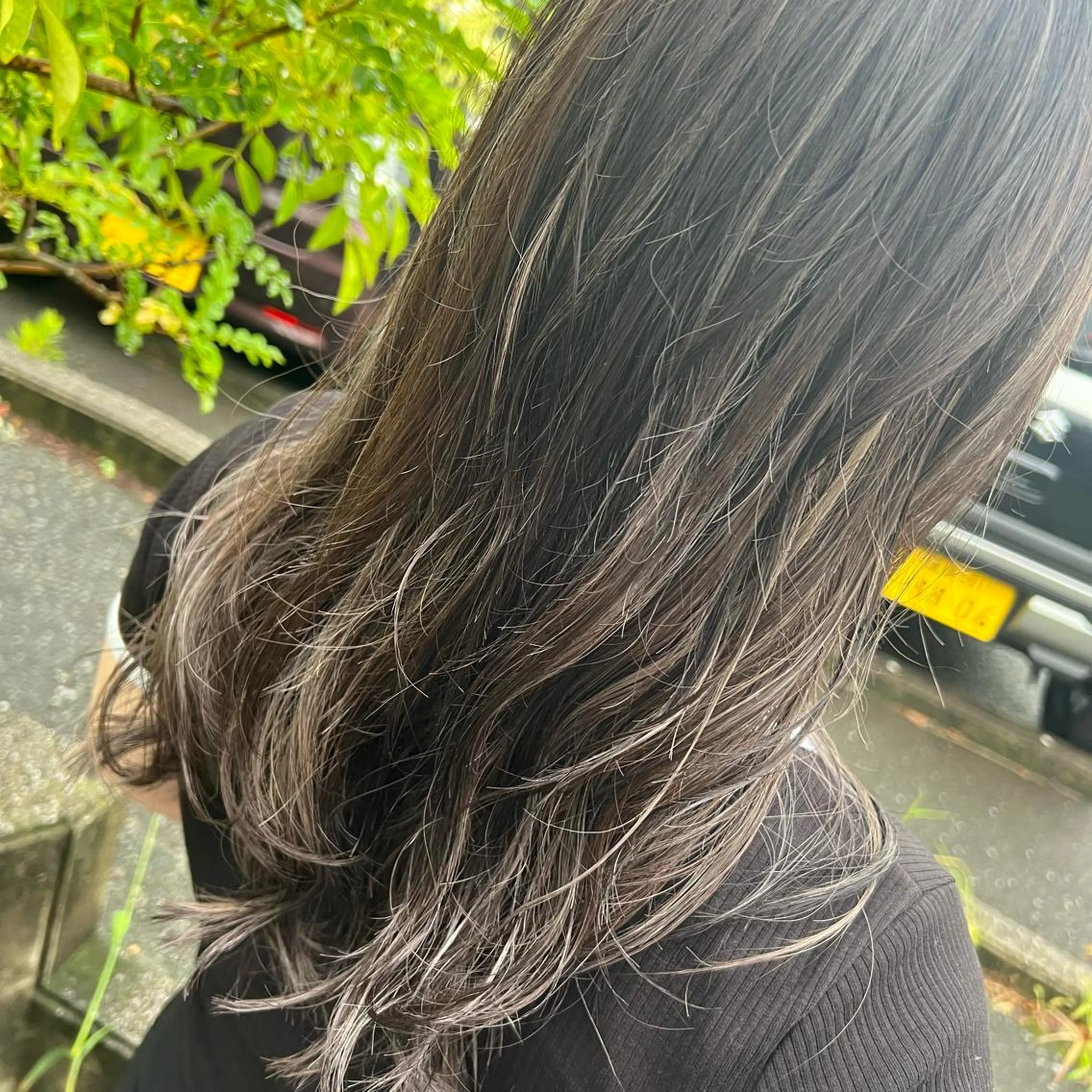 ロング ハイライト 平川 侑磨のヘアスタイル