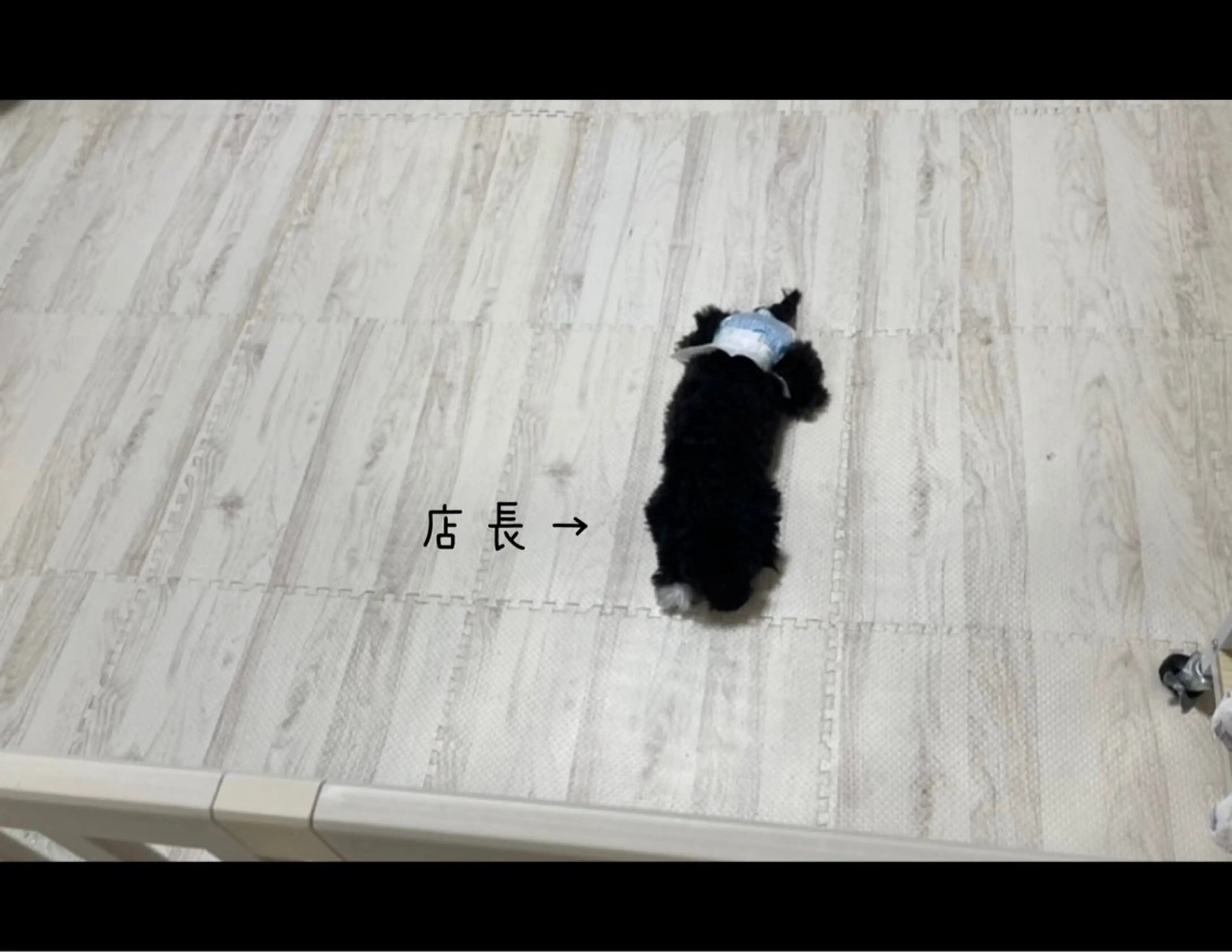 R@nail町田🫧所属・R@nail🫧町田 🫧らんのネイルデザイン