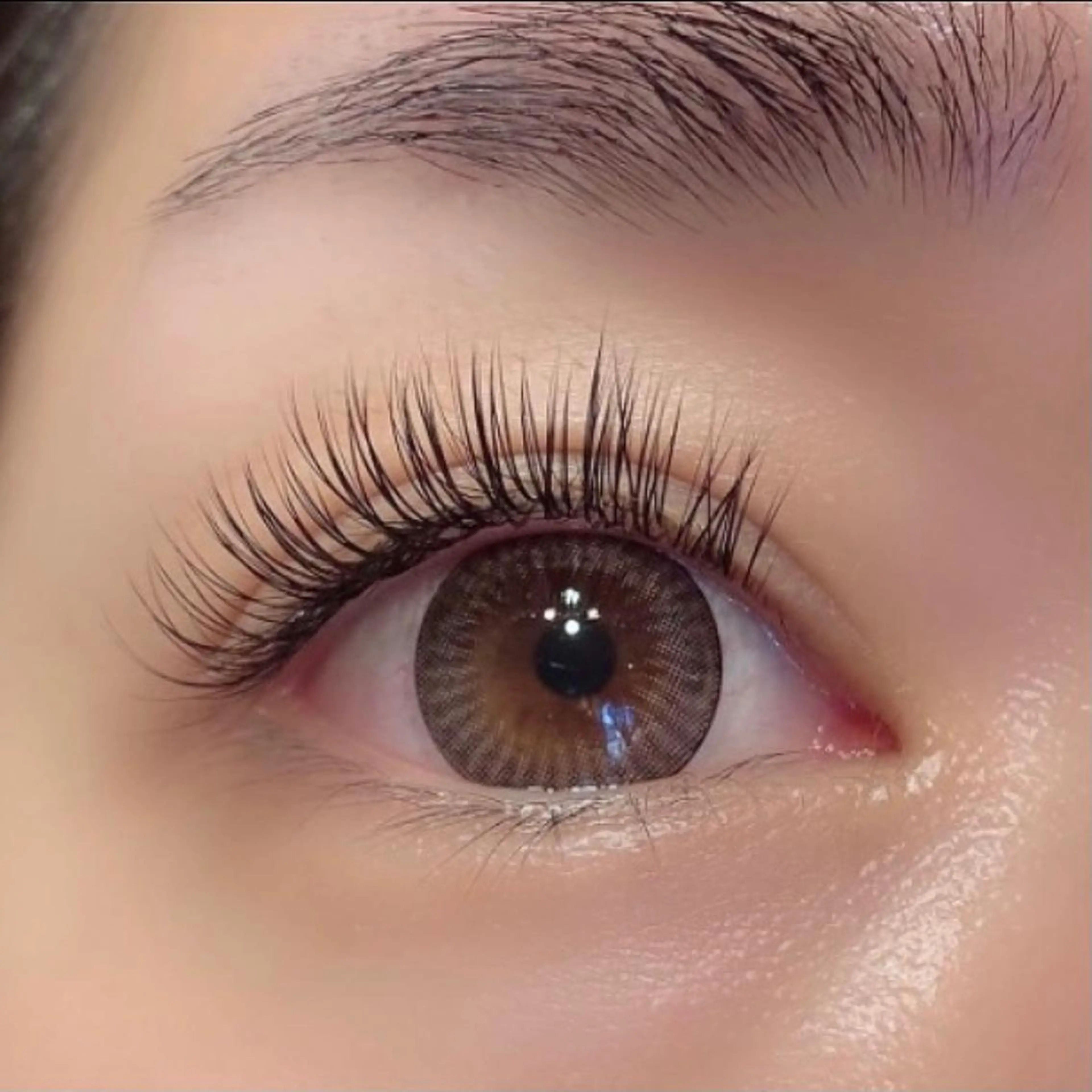 リピーター様💕バインドロック100束💡（シングル140本相当の濃さ）オフ・アイパック・コーティング付きの写真