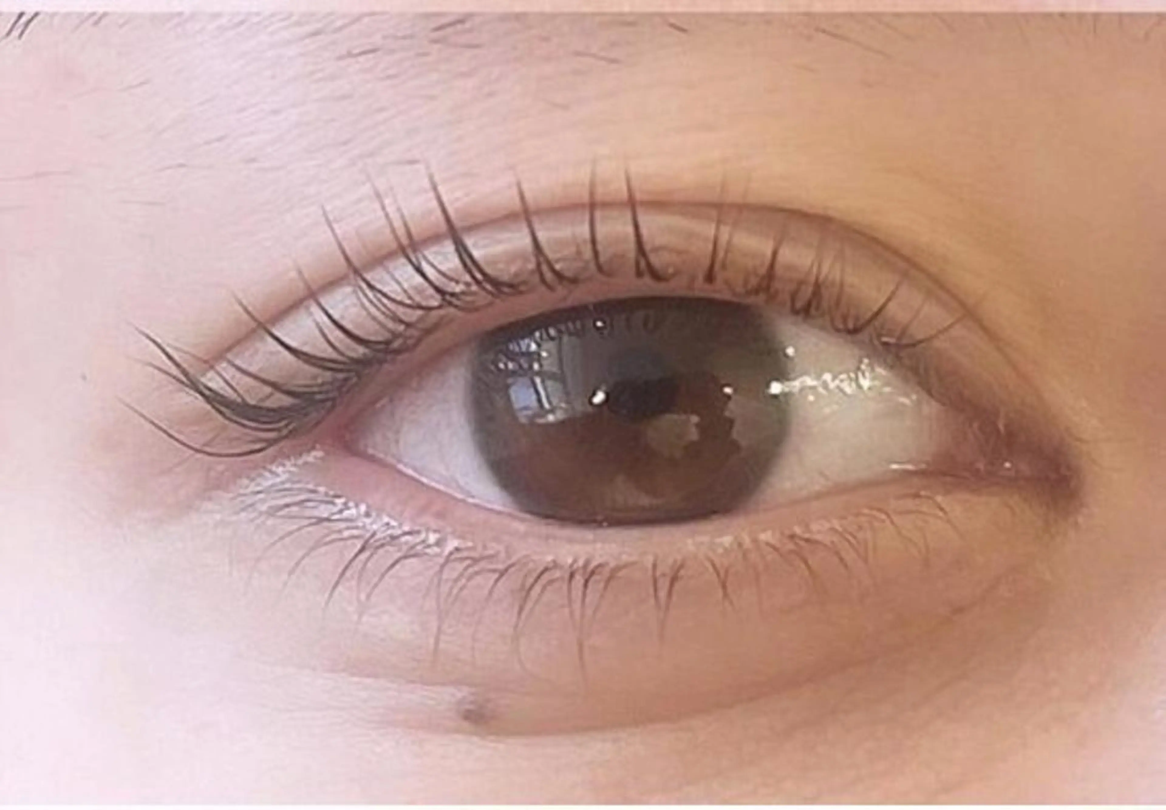 【9:00予約枠】練習モデル☘️まつ毛パーマ（口コミ投稿いただける方限定🙂‍↕️🫧）の写真