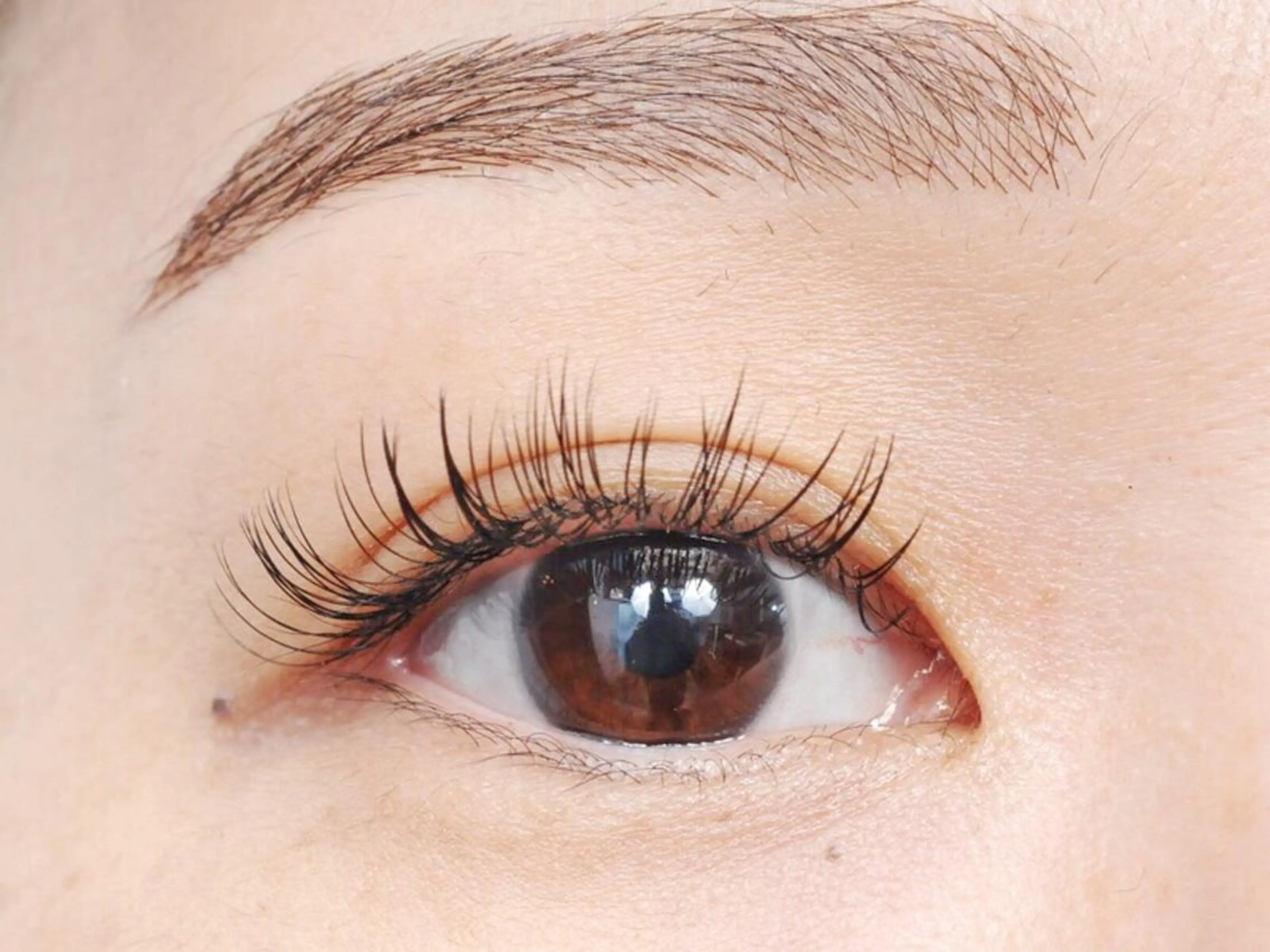 マツエク・マツパ 眉毛まつ毛専門店 uralogeのマツエク・マツパデザイン