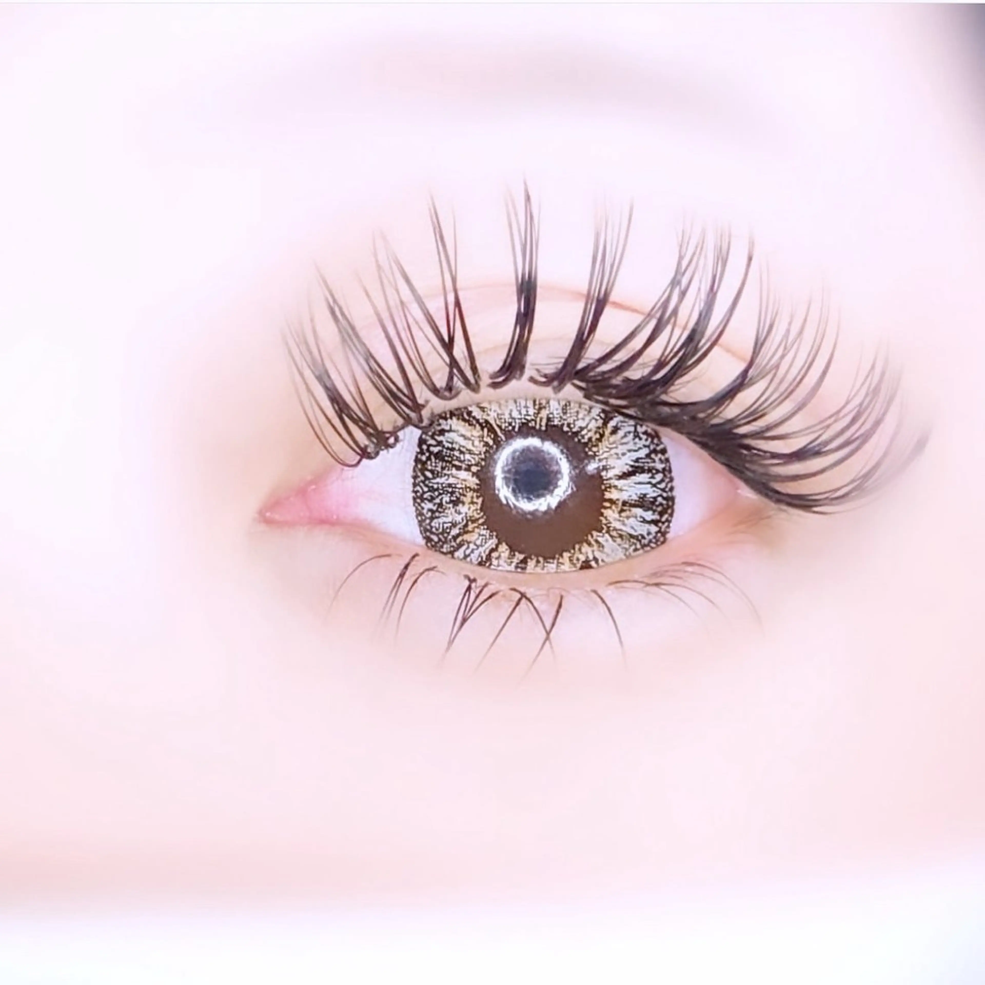 再来限定💖リペア3週間以内（4Dボリュームラッシュorバインドロック）の写真