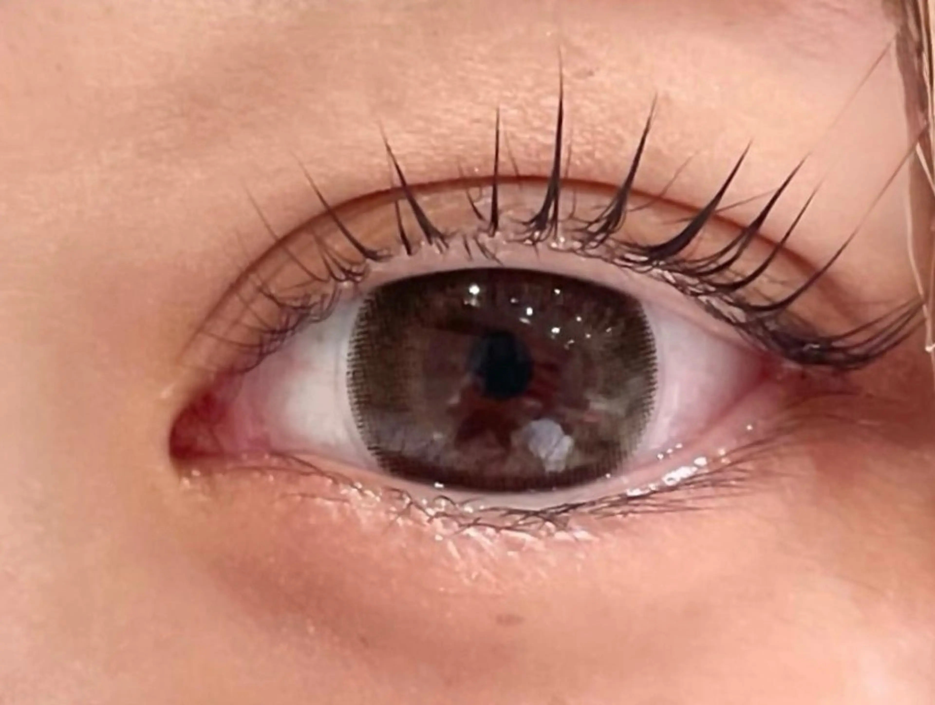 まつ毛パーマ＋アイブローカット[7,150円→6,050円]の写真