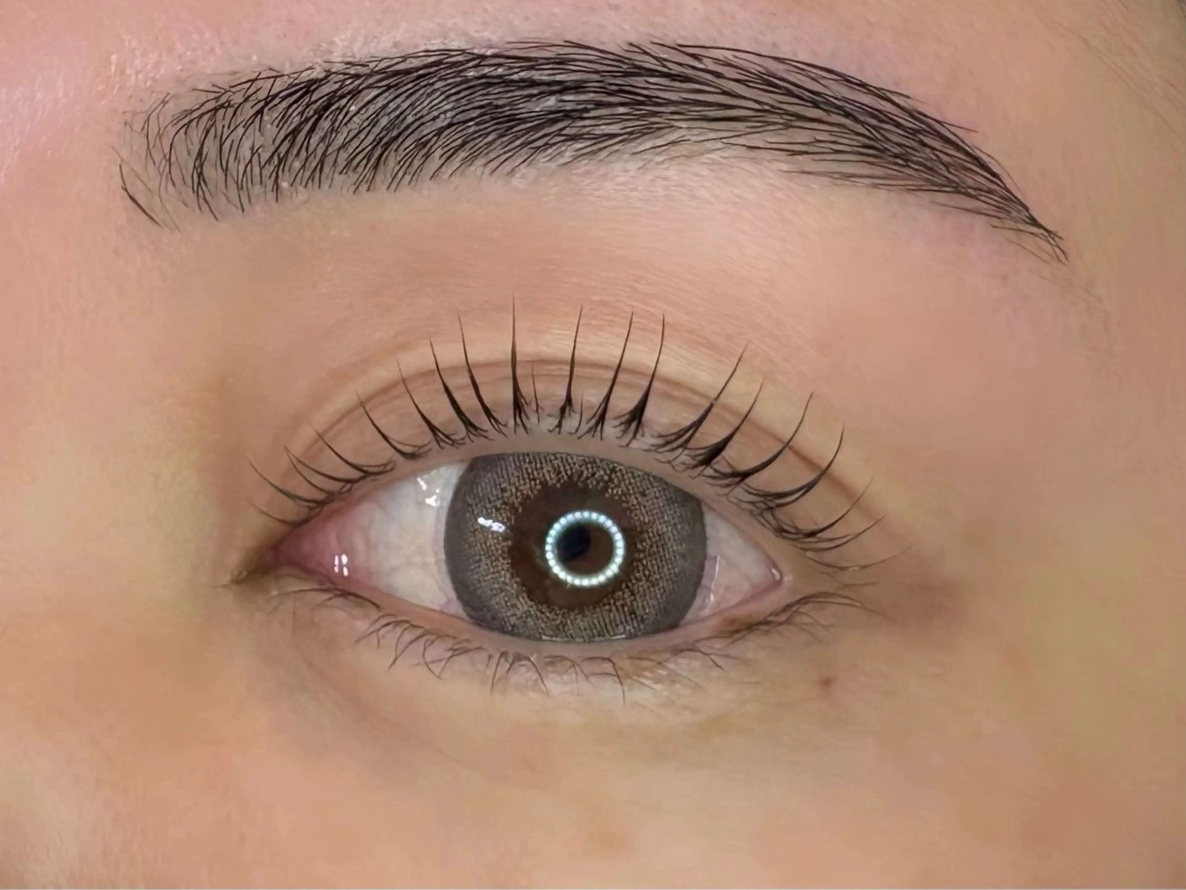 🦋【ご新規様】アイブロウワックス🦋の写真