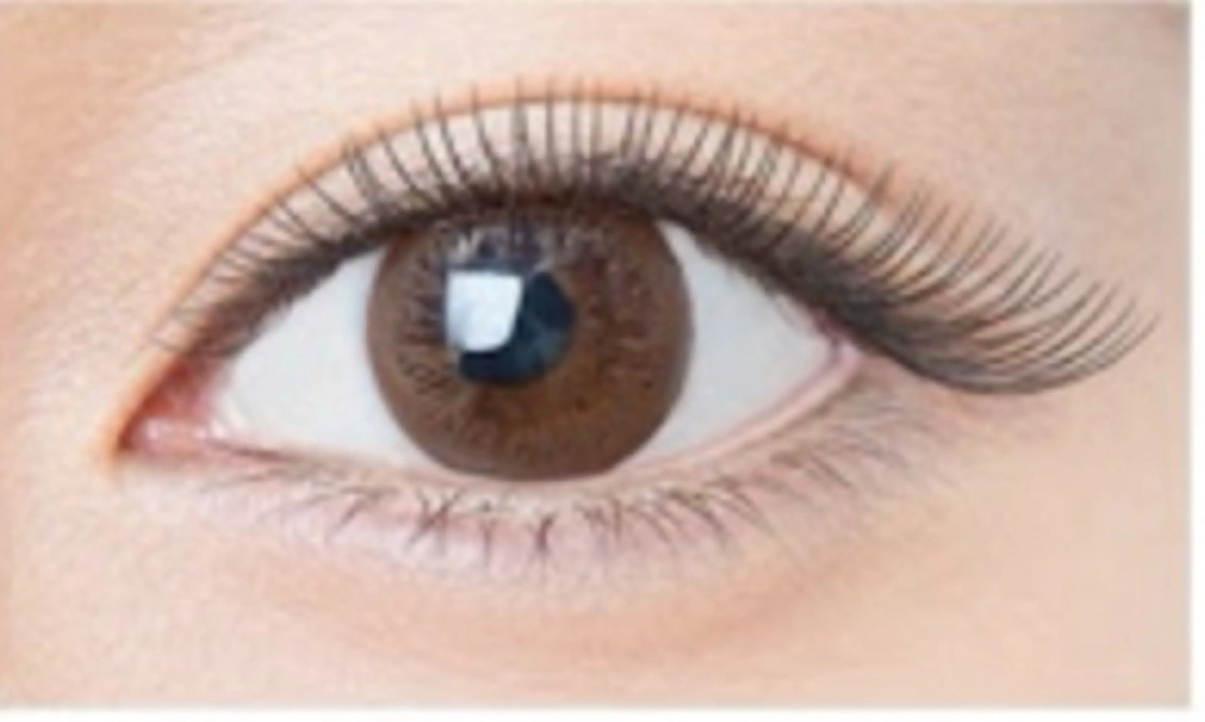 2/5 17:30　オフなし/マツエク（80本まで）3名限定　※施術時間は2時間みてくださいの写真