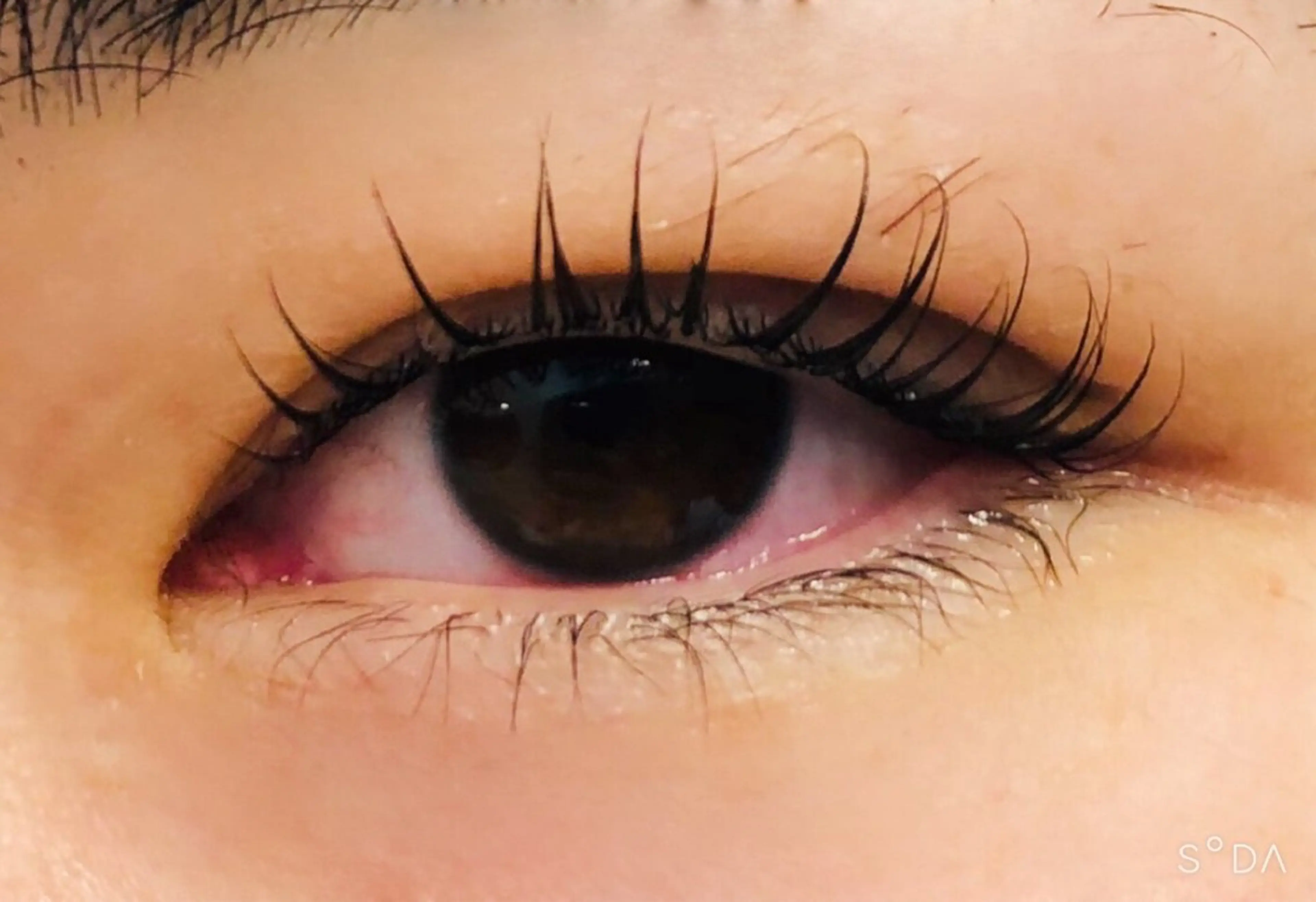 マツエク・マツパ マツパ EYELASHSALON  LUNA LUNA所属・LUNA LUNA byOean’S田中のマツエク・マツパデザイン