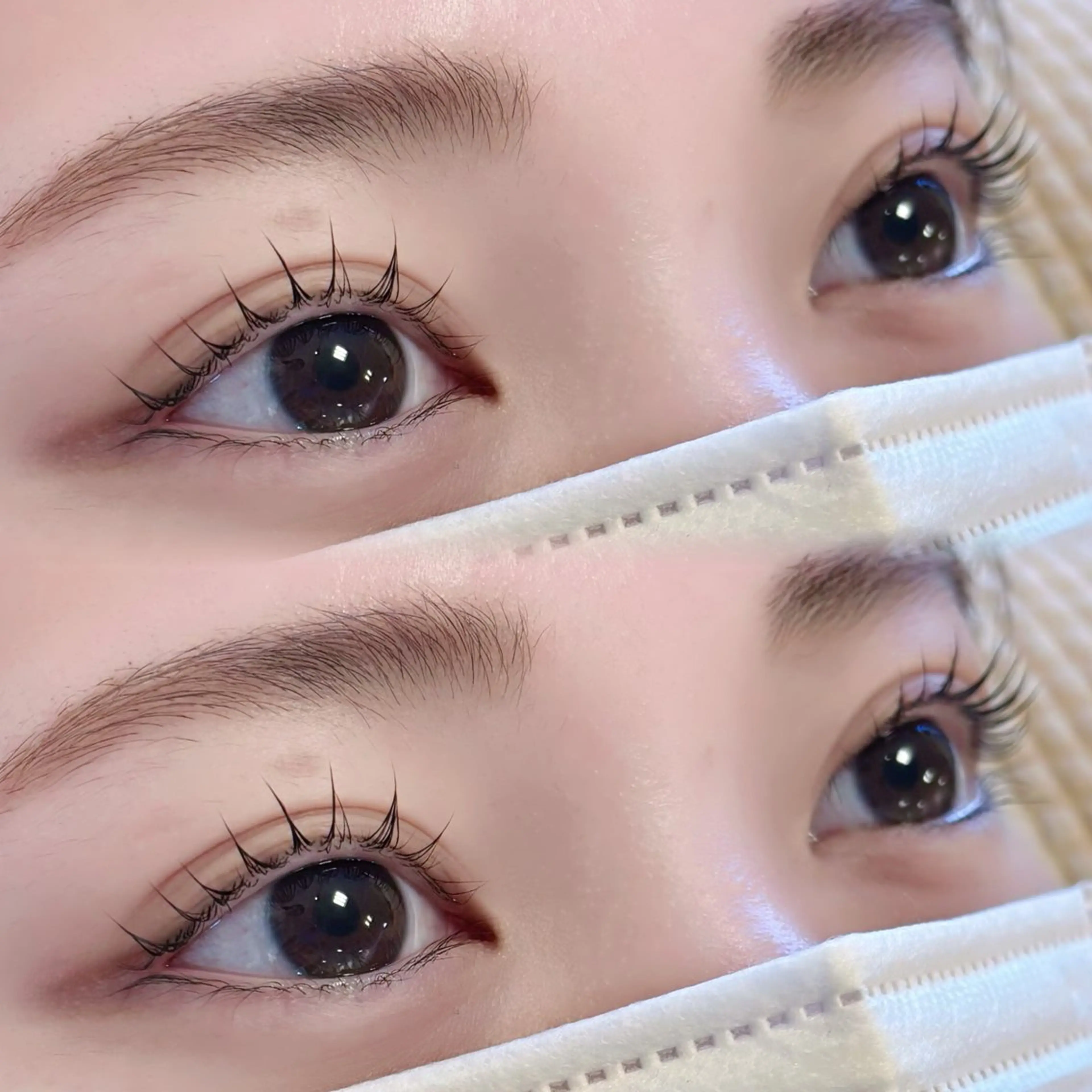 【当日予約🆗】パリジェンヌラッシュリフトの写真