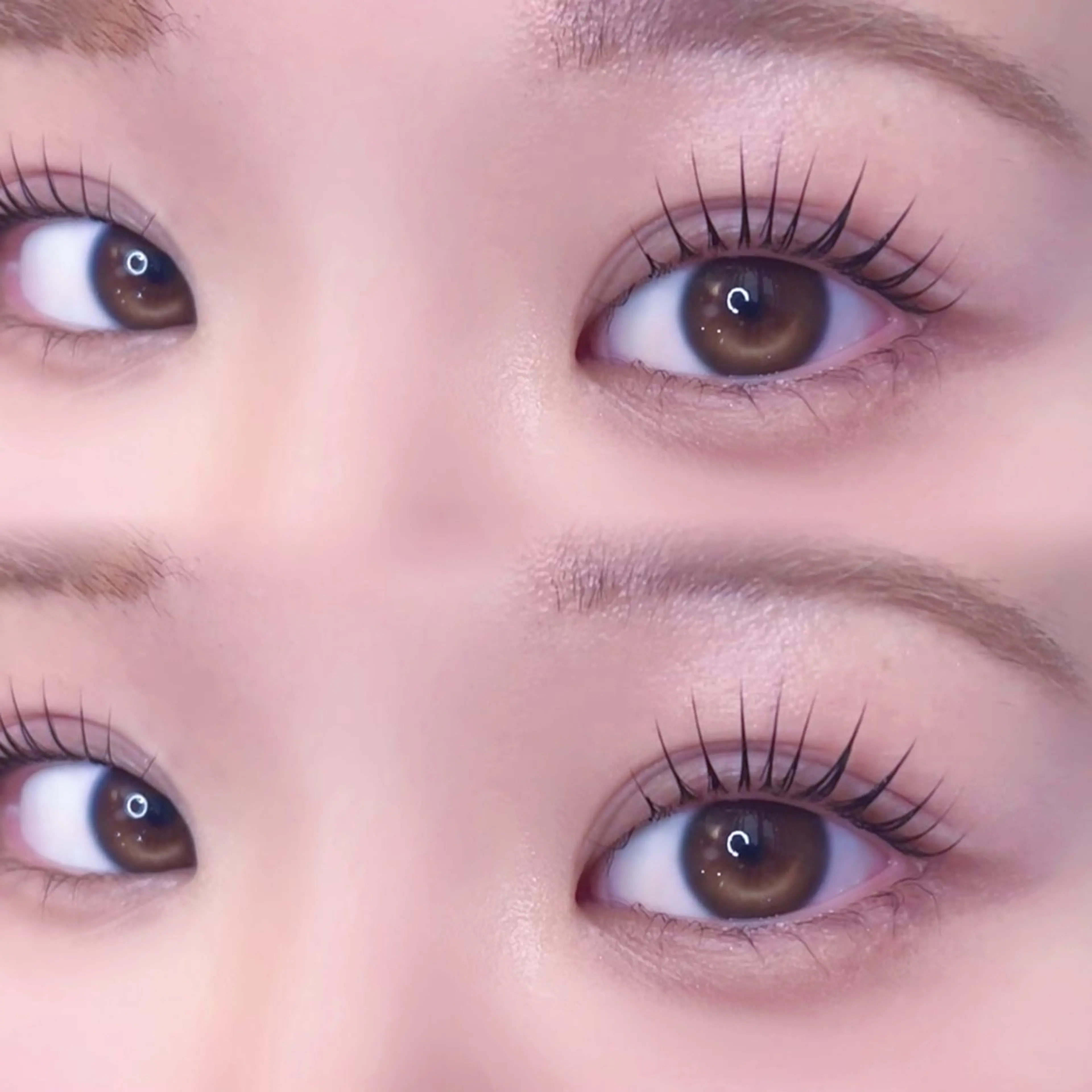 マツエク・マツパ マツパ MEPP所属・ひがしの ももかのマツエク・マツパデザイン