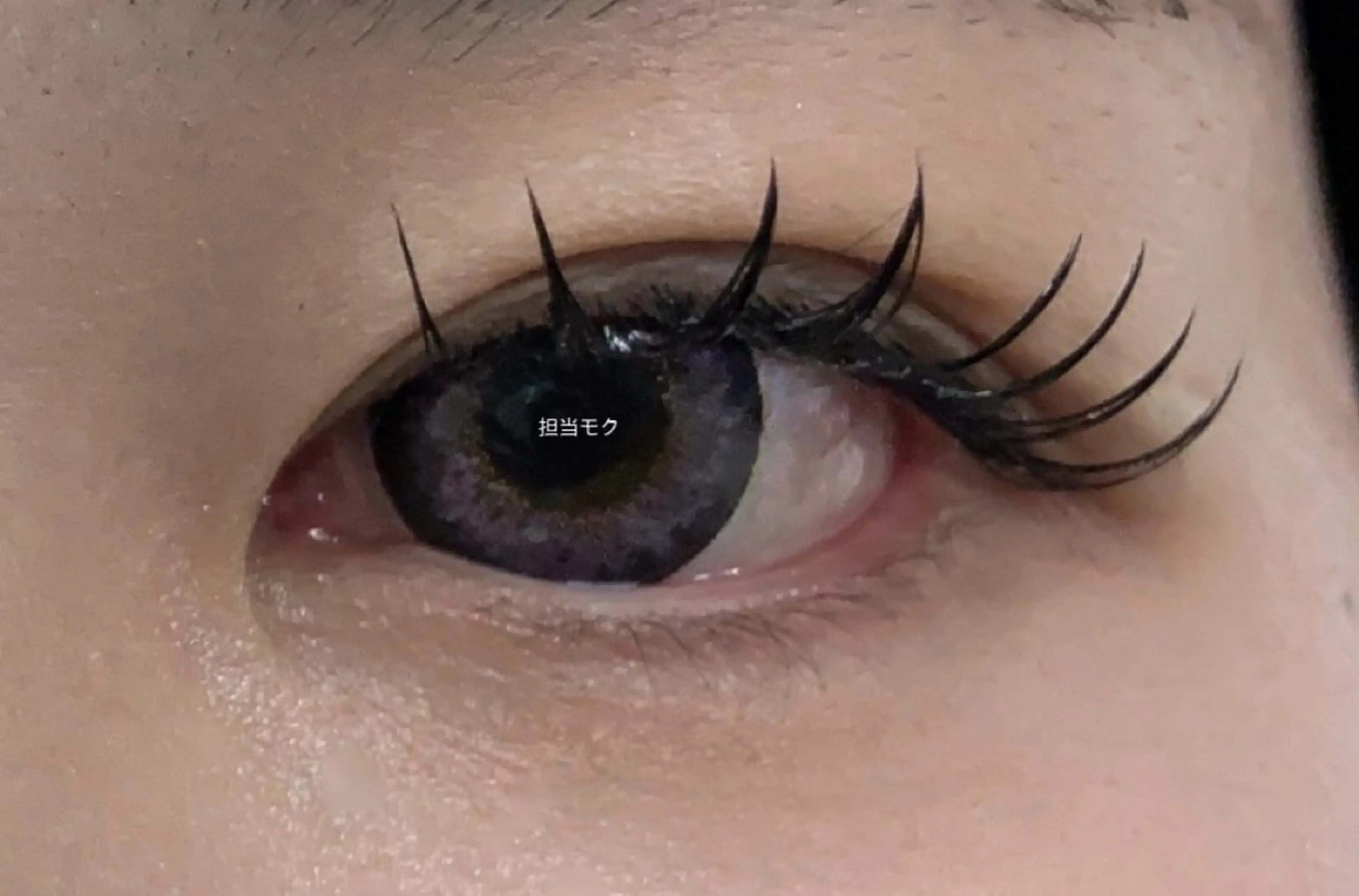 マツエク・マツパ マツエク L・ヒヒアイラッシュ 沐（moku）のマツエク・マツパデザイン