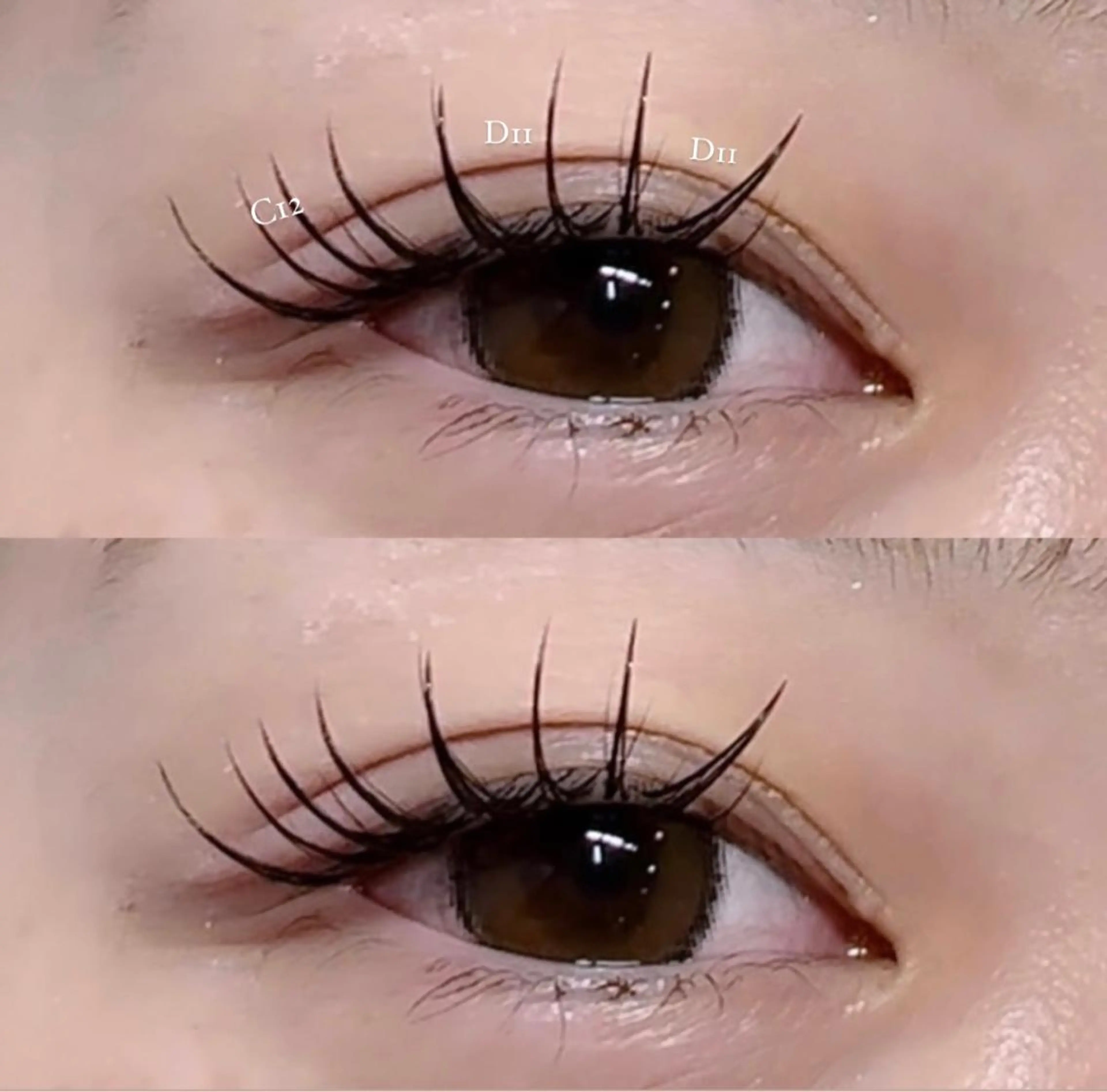 マツエク・マツパ クレアラルーチェ姫路英賀保店所属・クレアラルーチェ 姫路英賀保店のマツエク・マツパデザイン