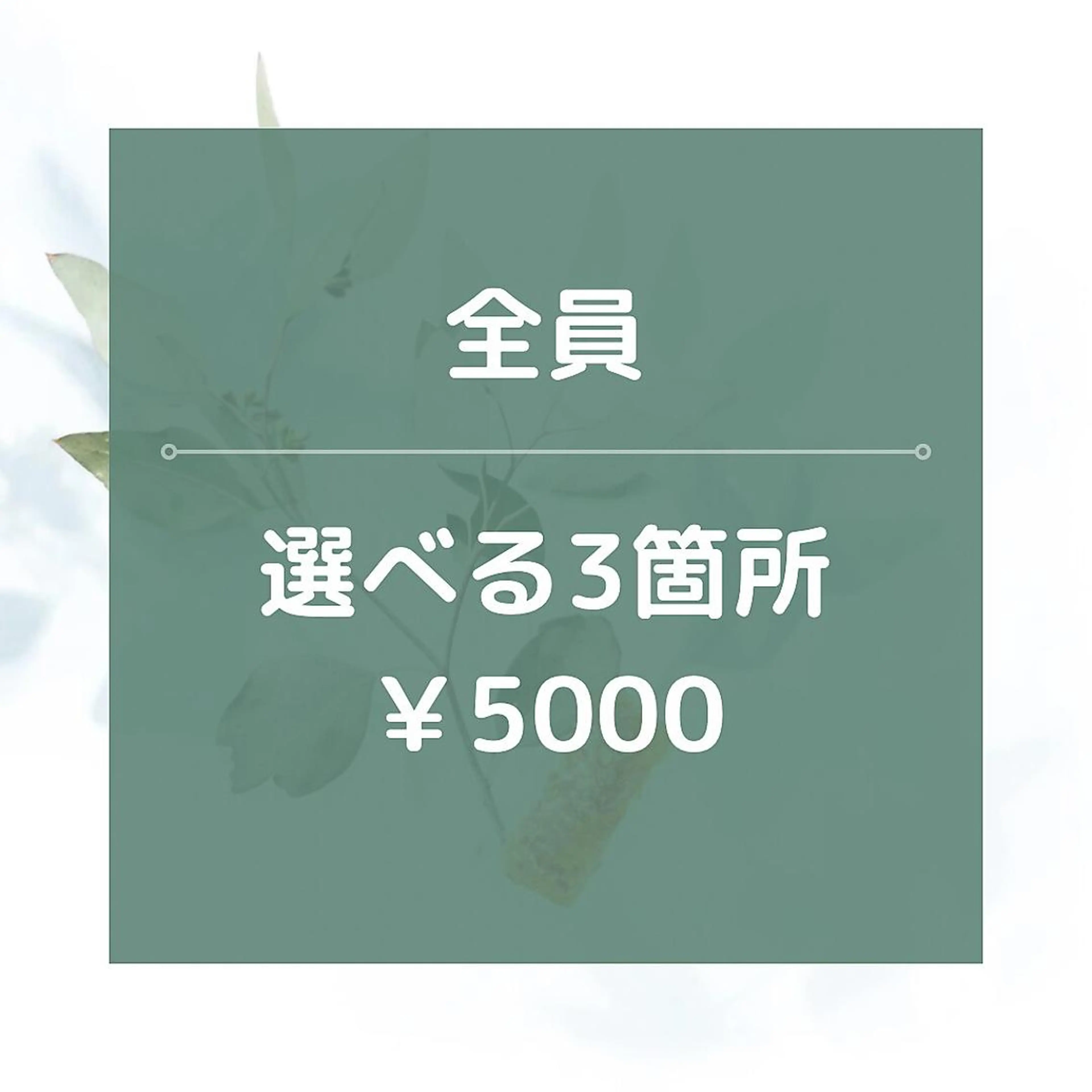 【男女OK】 人気メニュー☆選べる3箇所脱/5000円の写真