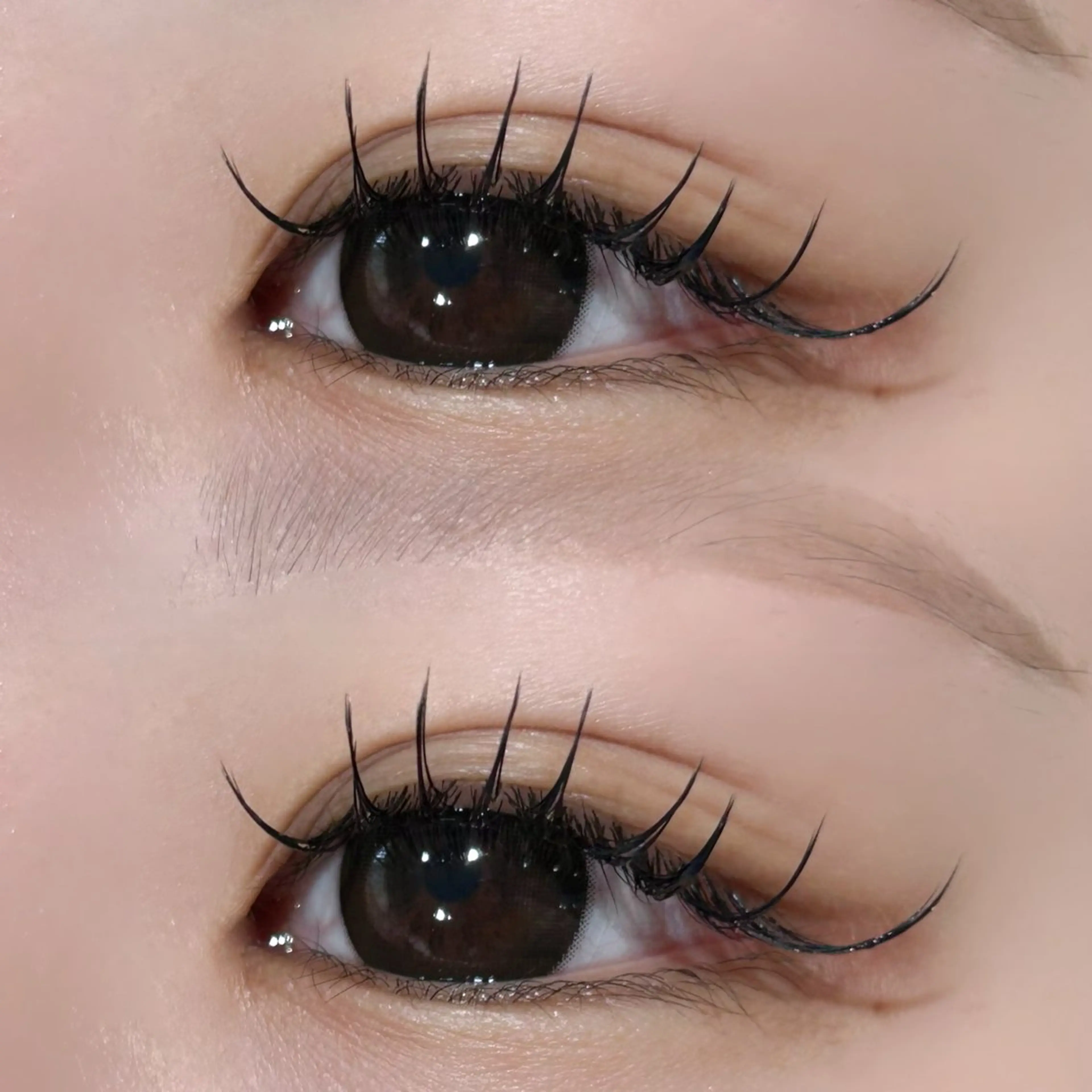 マツエク・マツパ 【TRISH】 かのん🎀🐰ྀིのマツエク・マツパデザイン