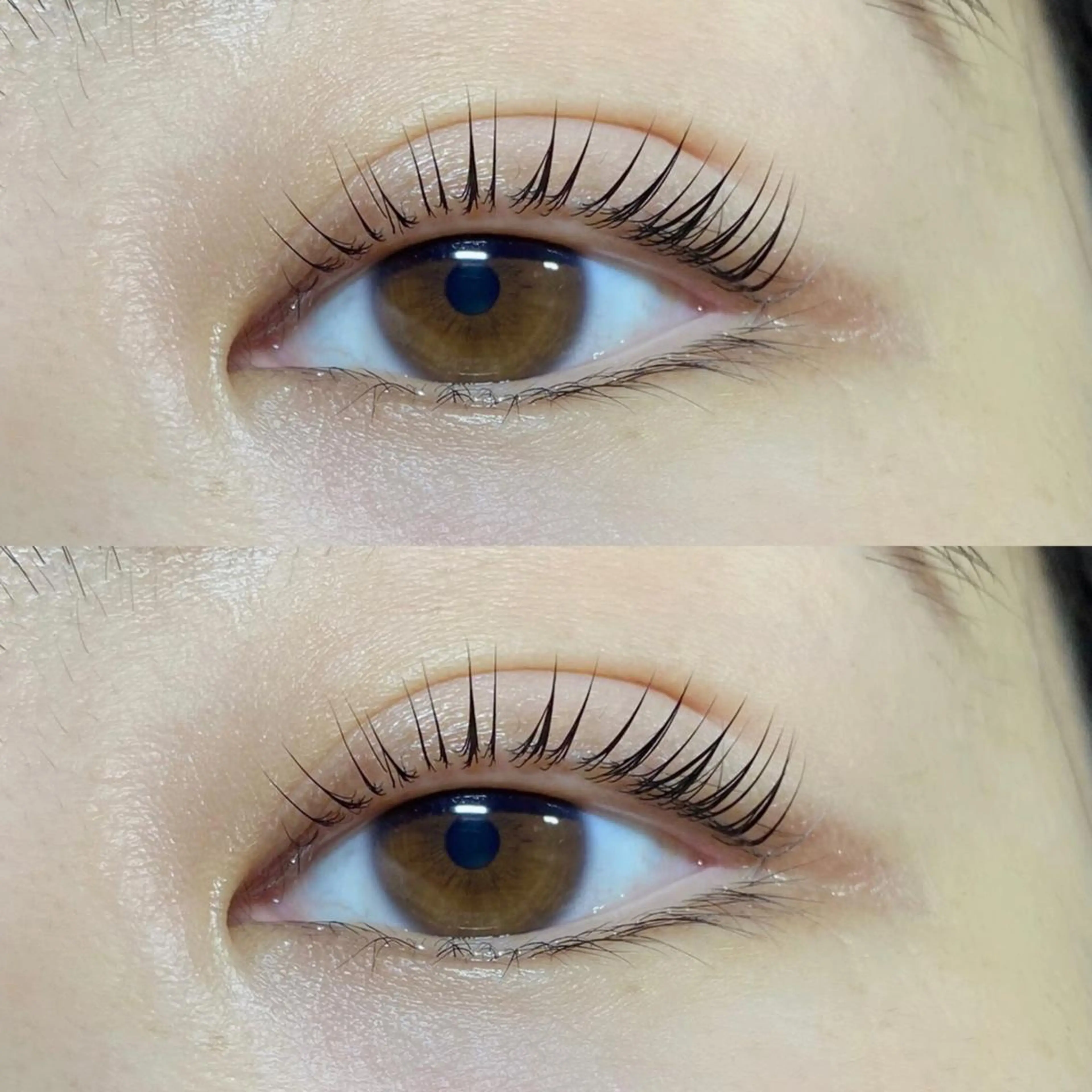 【パリジェンヌ上のみ】 仕上げのコーティング付き🫧の写真