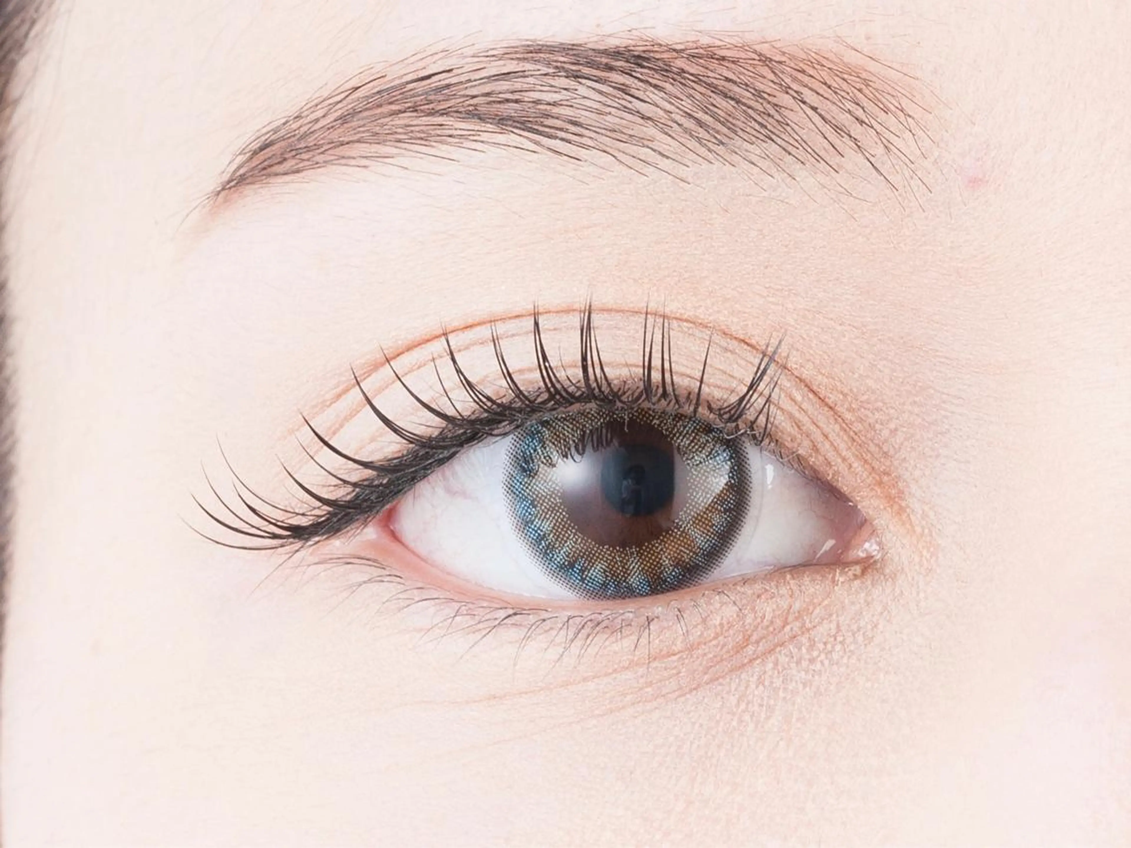 🧸ご新規様限定🌟LEDフラットラッシュエクステ100本/オフあり+¥550の写真