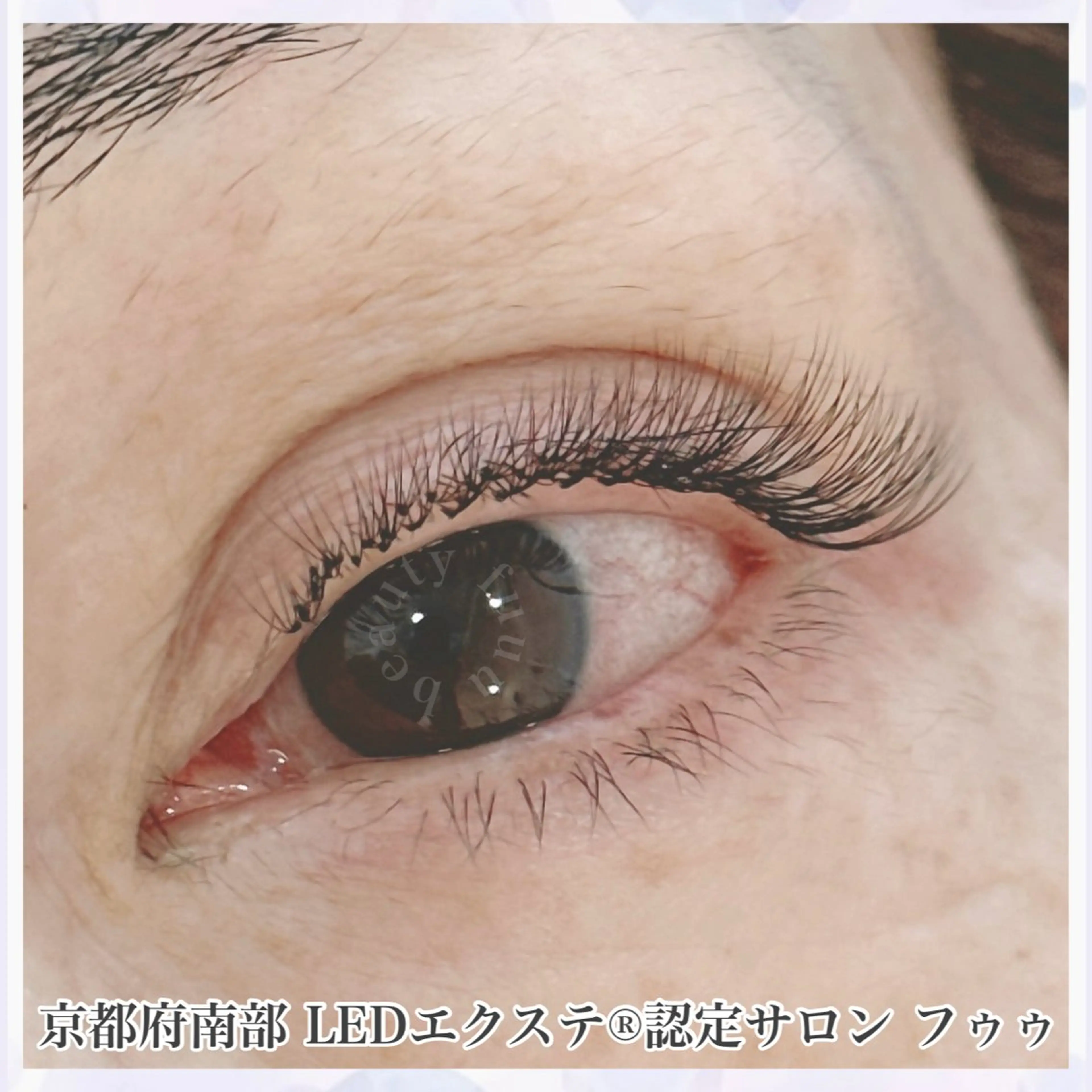 【初回】LEDエクステ(ボリュームラッシュ)の写真