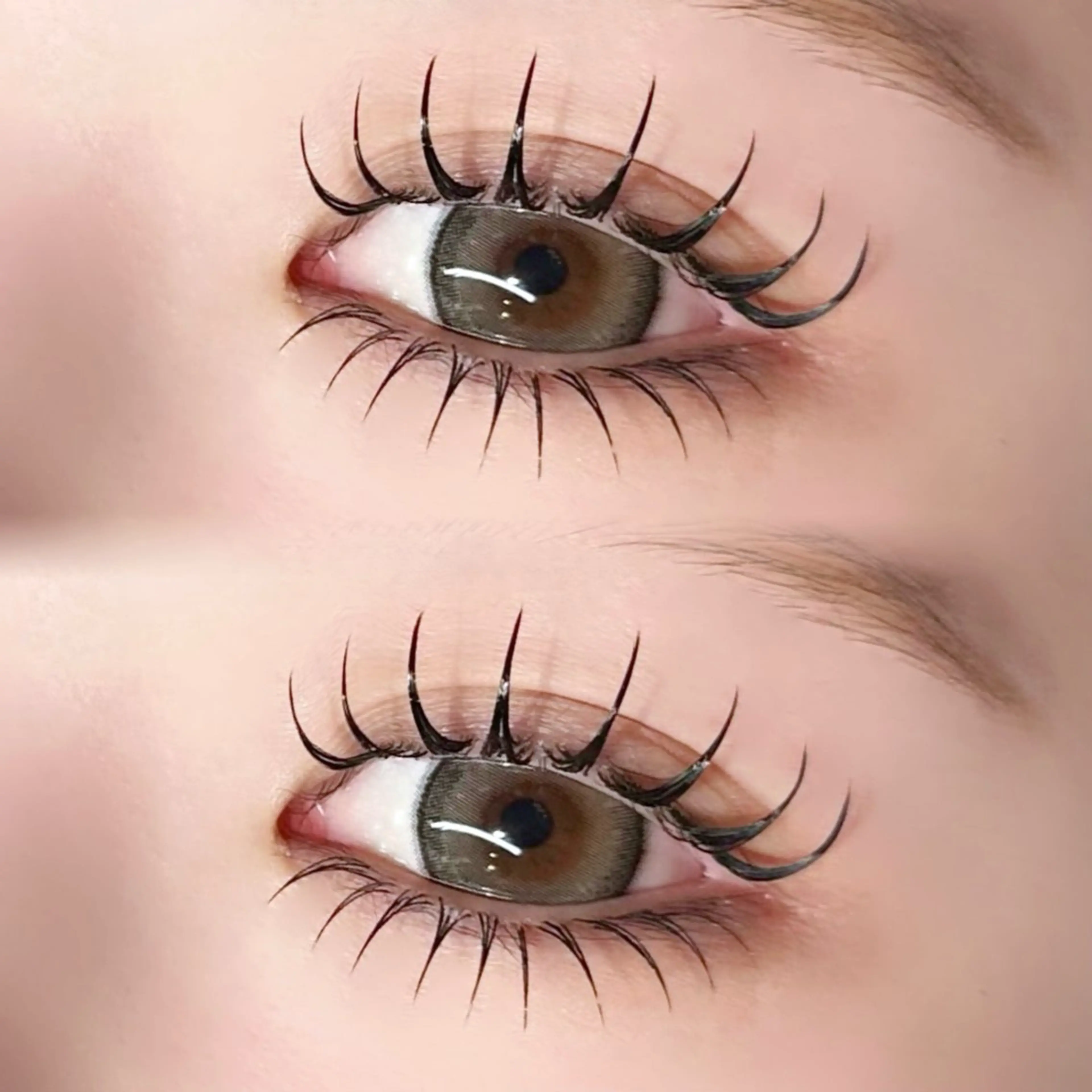 マツエク・マツパ マツエク EYELA熊本 YUIのマツエク・マツパデザイン