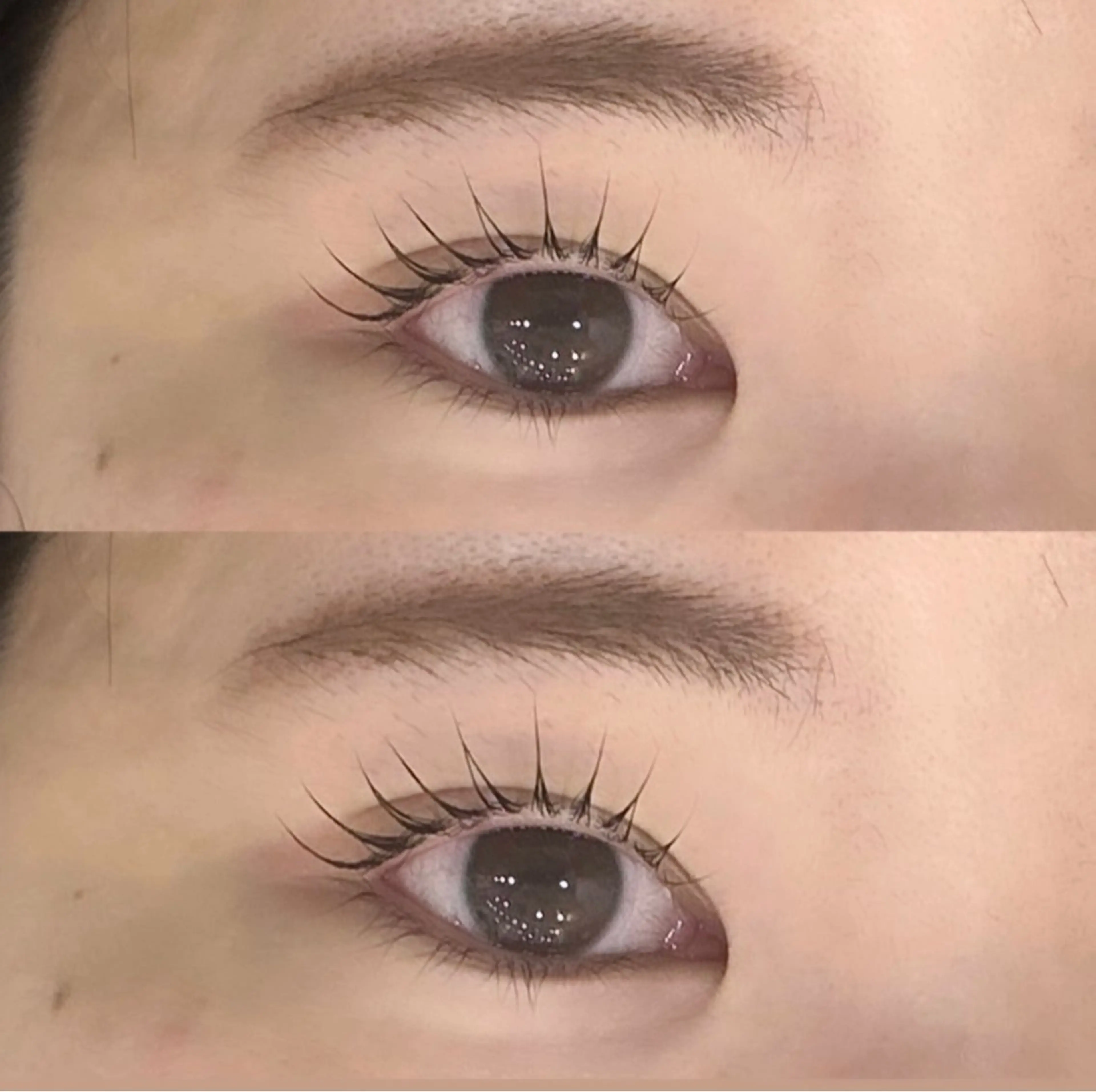 ご新規様限定【垂れ目風まつげパーマ】🥨メーテルラッシュリフト🥨 ¥2980の写真