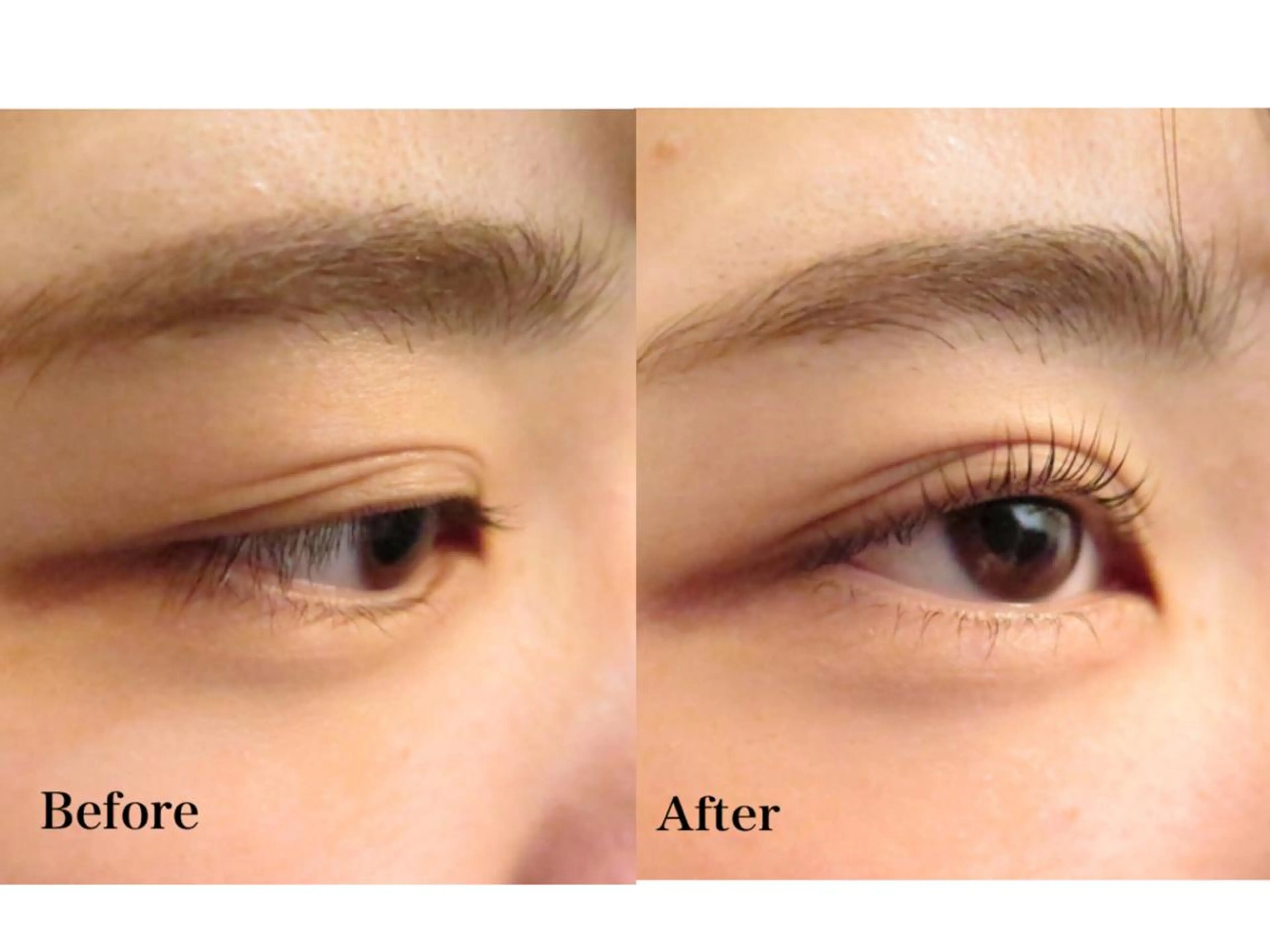 マツエク・マツパ Cカール サクラブロウ 池袋　店の眉毛・アイブロウイメージ