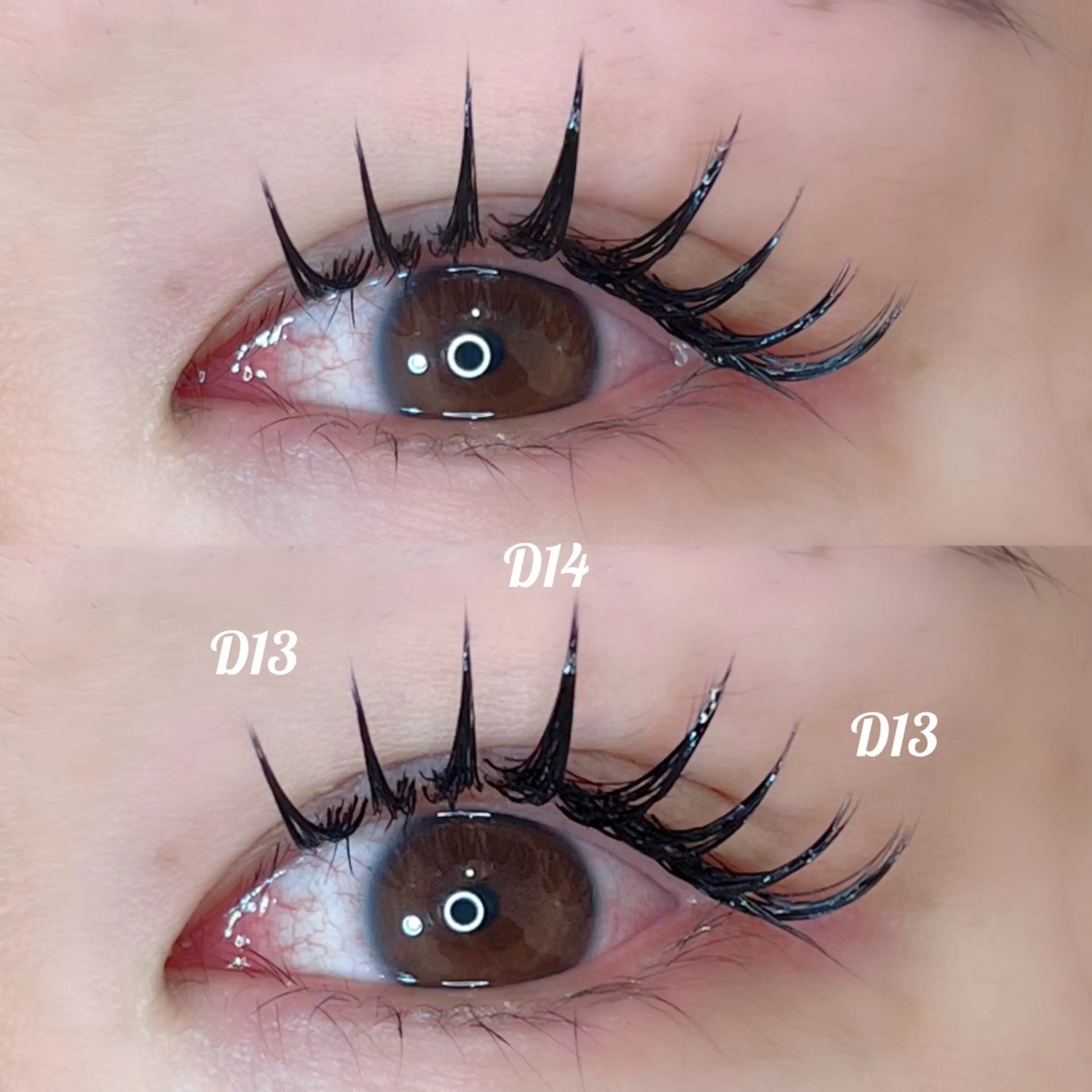 マツエク・マツパ Dカール セーブル yato nekoRu木更津店のマツエク・マツパデザイン