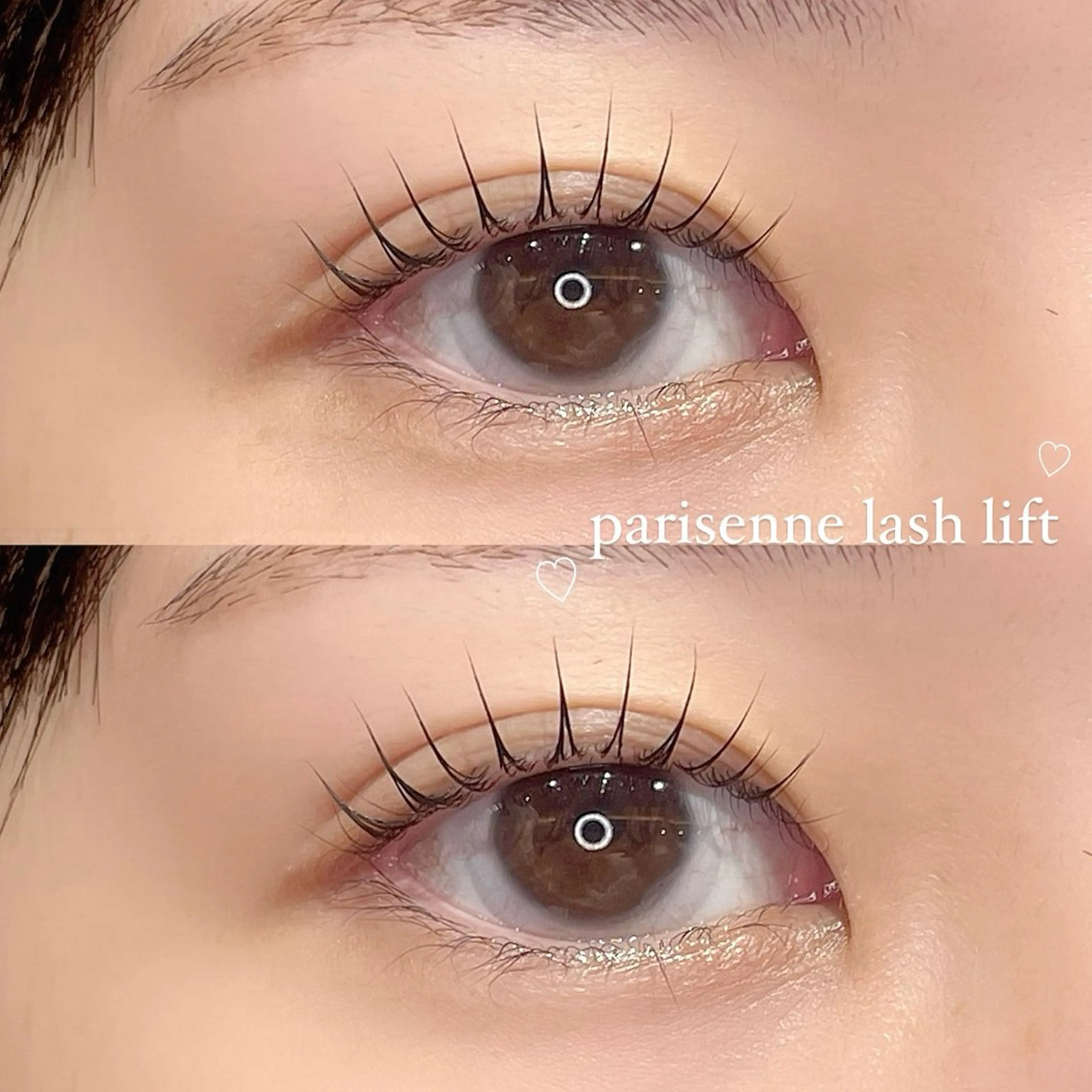 〖11.12月限定〗まつ毛パーマ（パリジェンヌ可）🧸🩰の写真