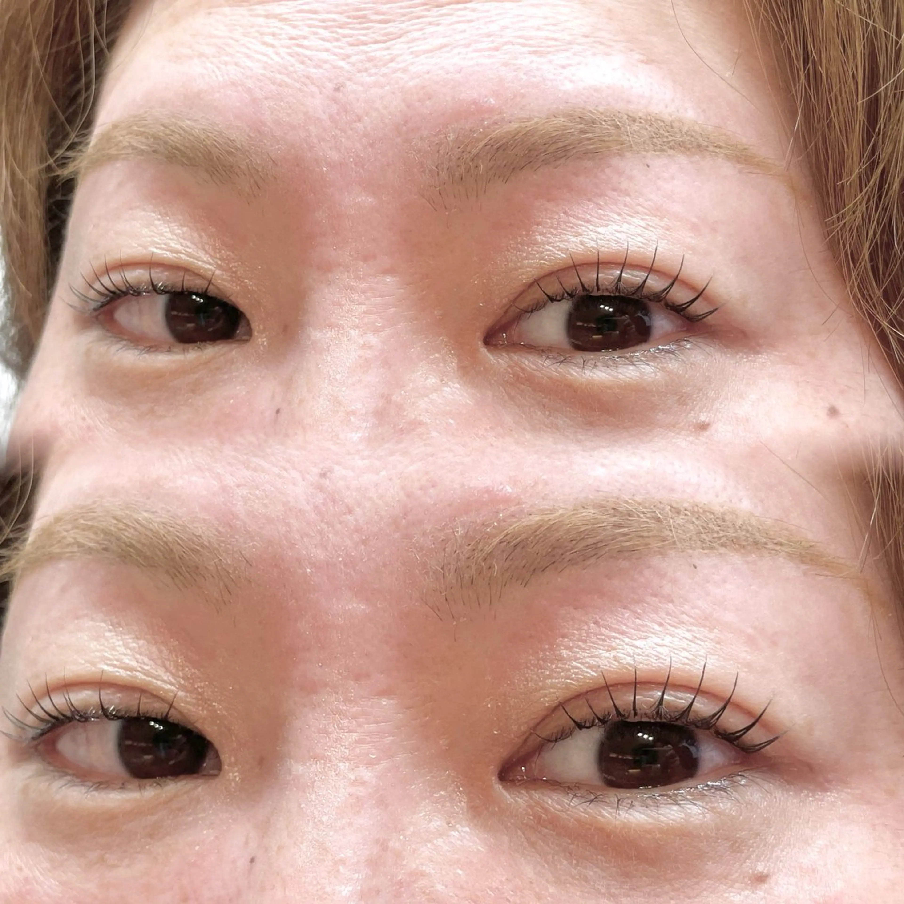 マツエク・マツパ マツパ 新小岩まつ毛眉毛 BelkaLashの眉毛・アイブロウイメージ