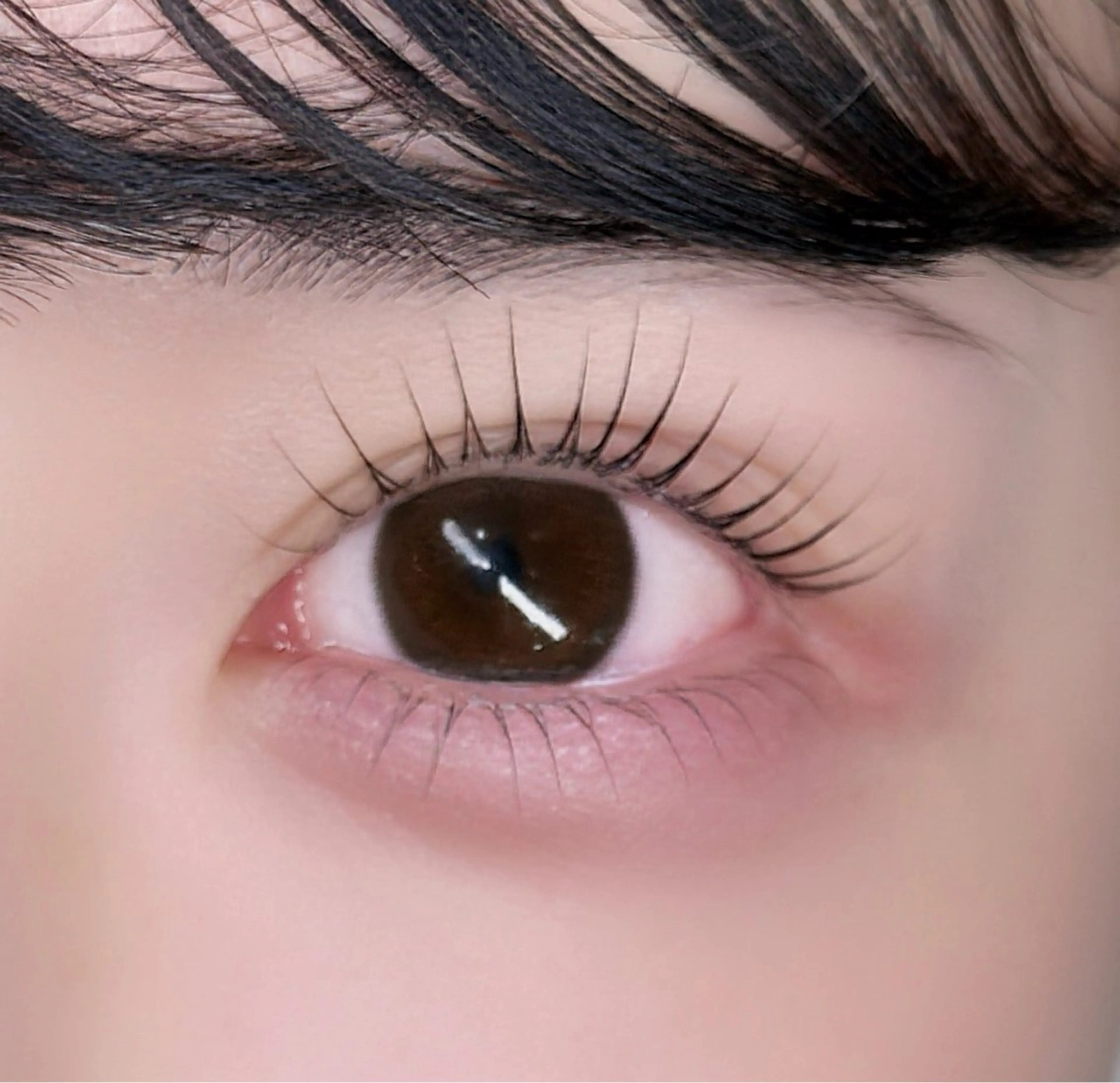 ‬ ꒰ ‪目の縦幅🆙✨️ ꒱‬ 上下まつ毛パーマ🦢☁の写真