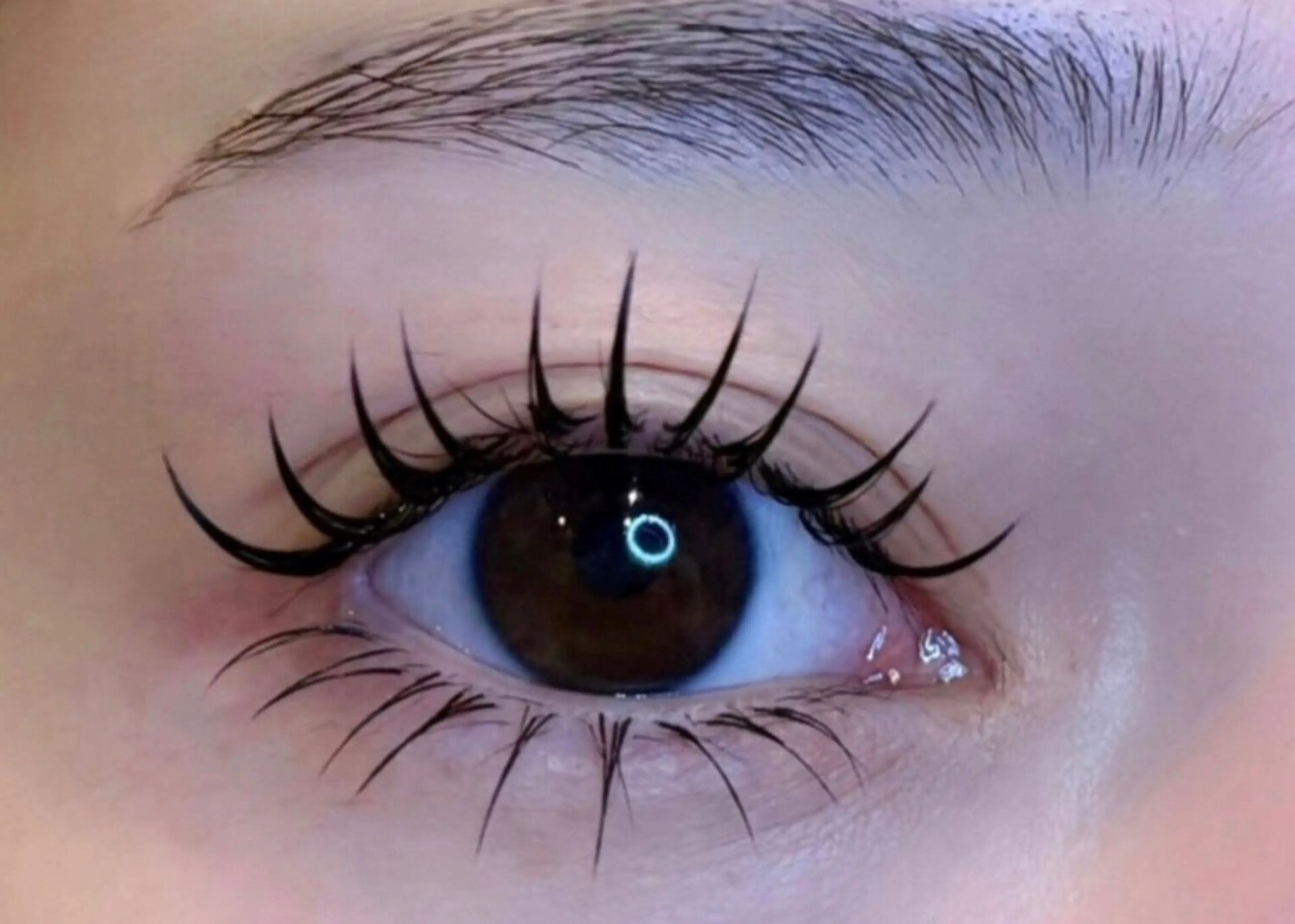 【17時まで】🉐韓国風/束感マツエク100本LED ＋コーティング＋アイパック¥5300の写真