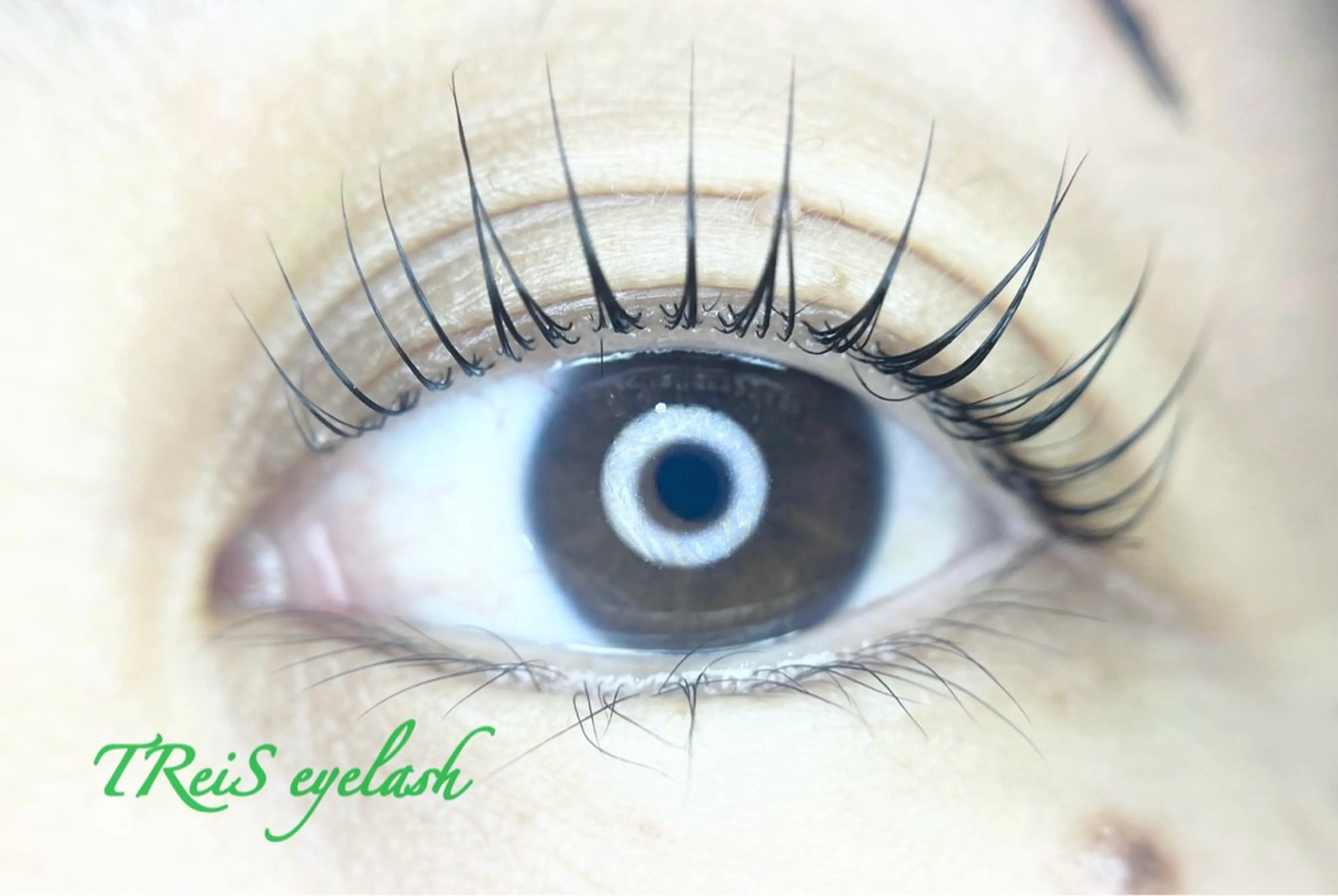 マツエク・マツパ TReiS所属・TReiS eyelashのマツエク・マツパデザイン
