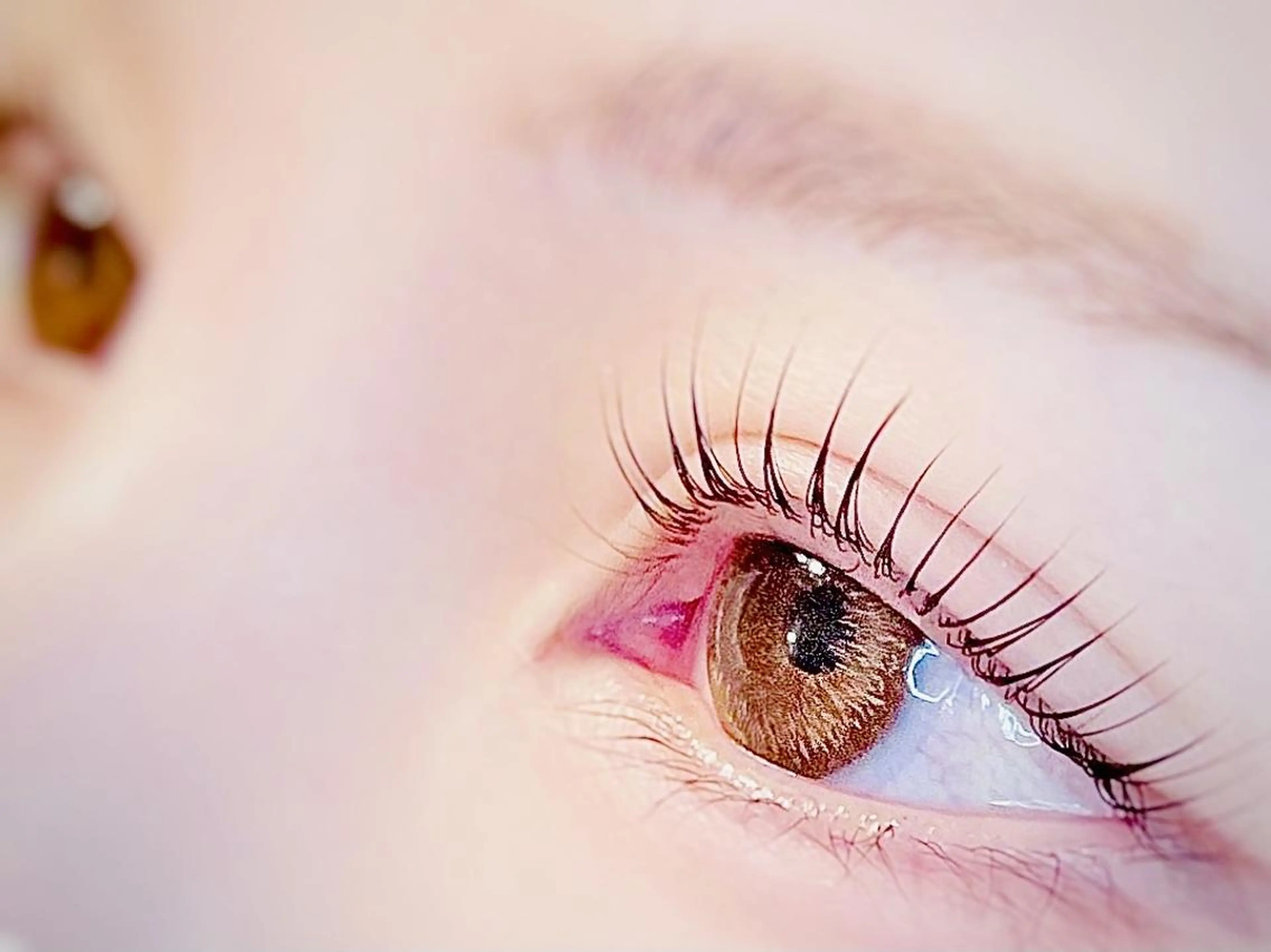 初回オフ¥0◇パリジェンヌラッシュリフト上◇　90分¥7000の写真