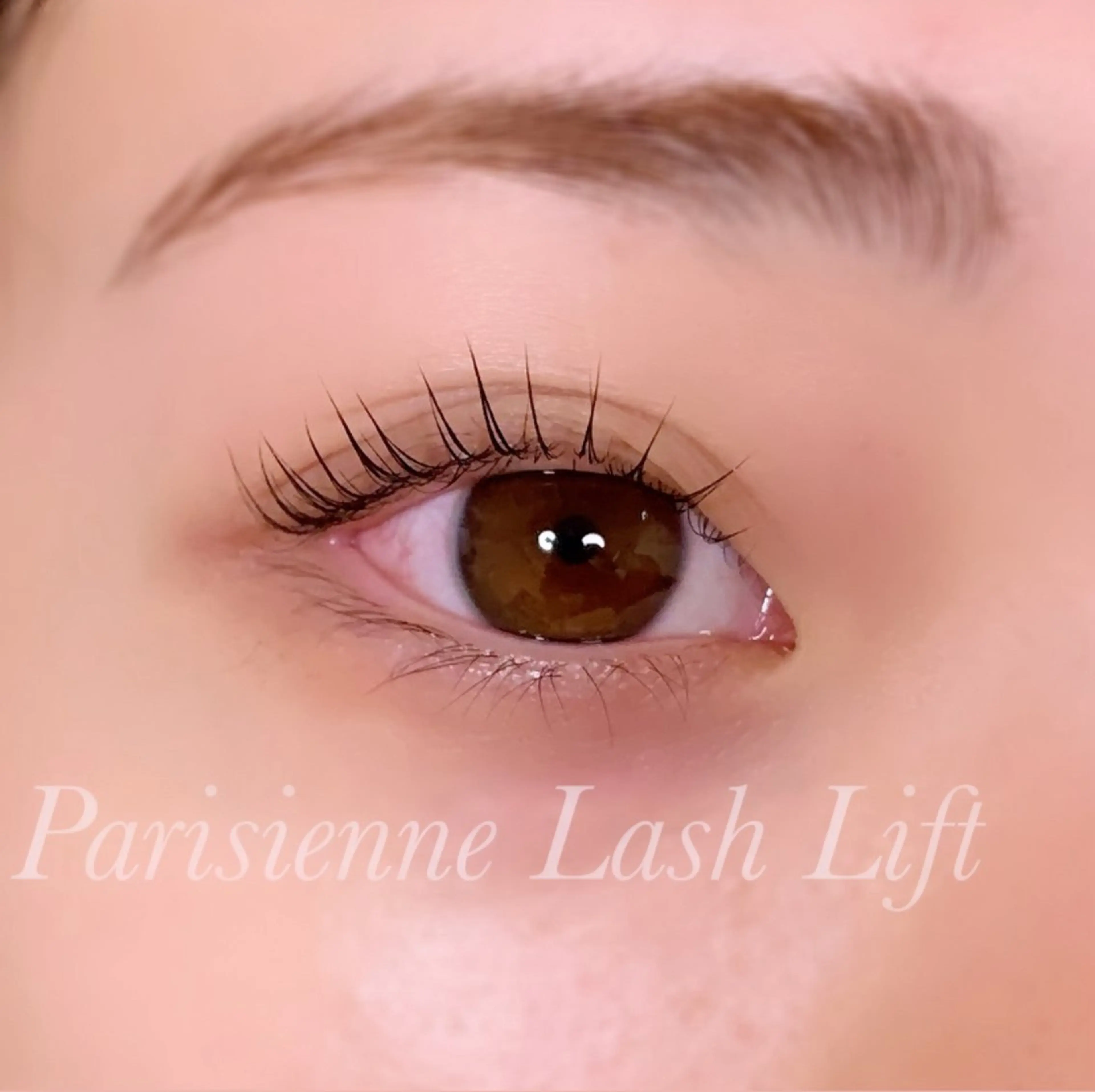 マツエク・マツパ パリジェンヌラッシュリフト マツパ Ayumi.pro 🍆N《4階》のマツエク・マツパデザイン