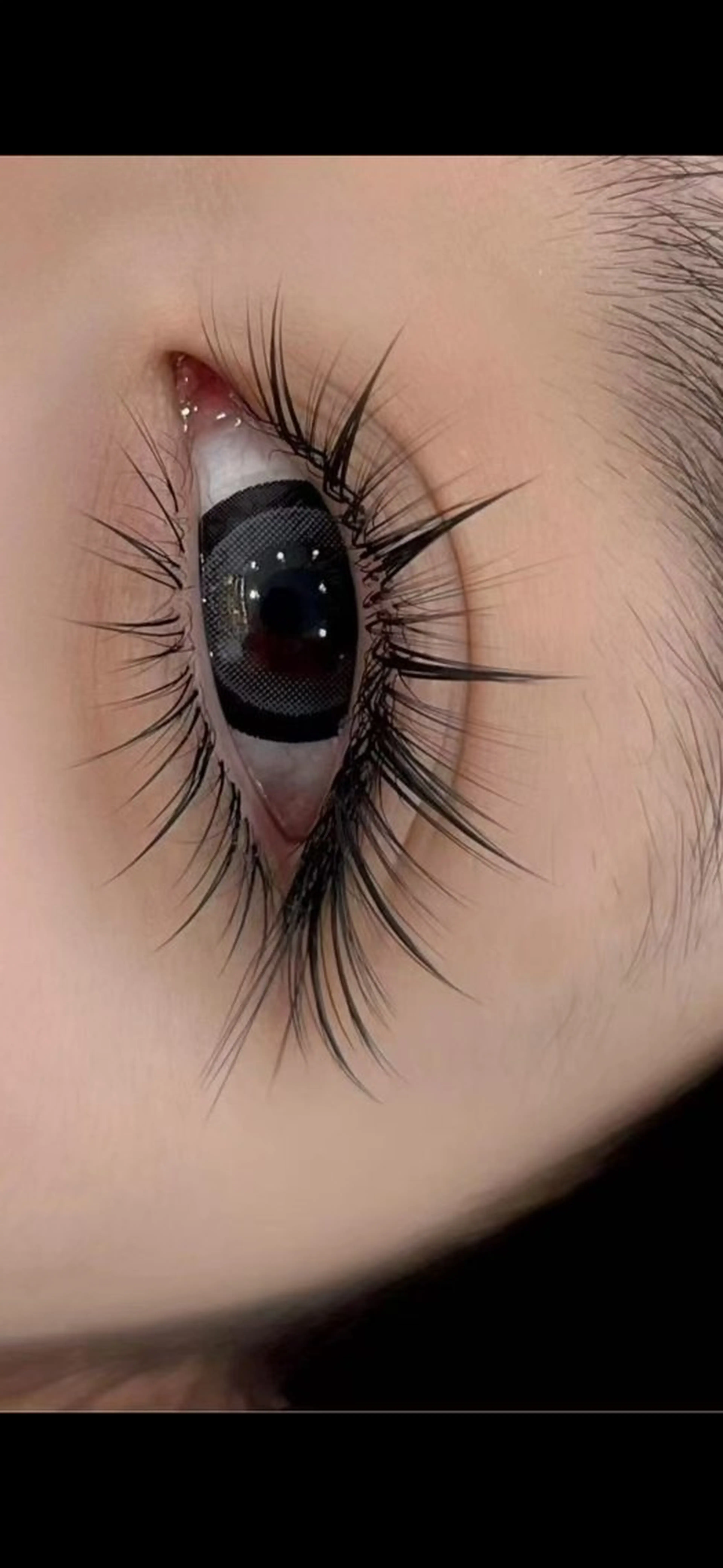 (マツエク)ワンホン140束L E D無料の写真