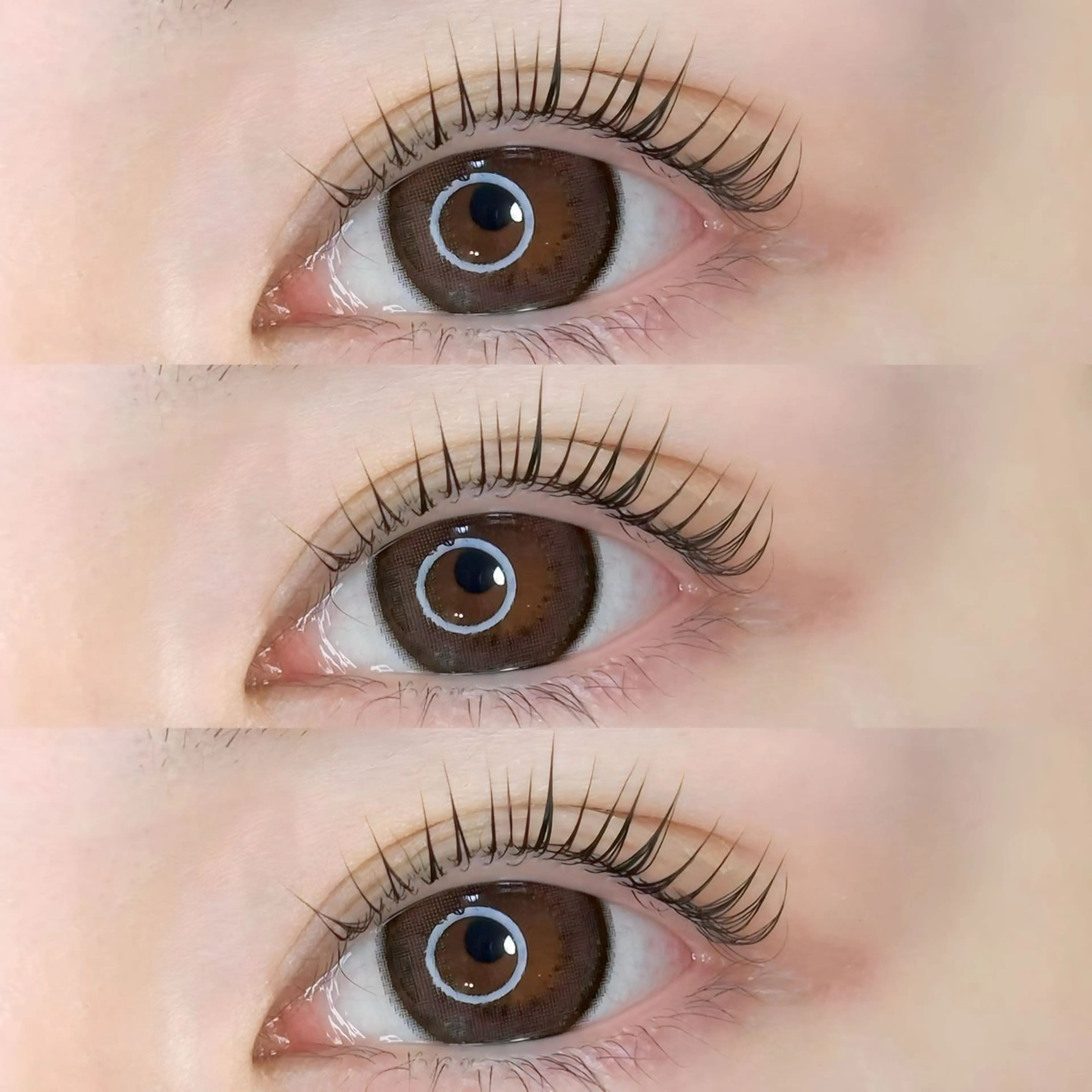 【✨お得なセットメニュー✨】🕊ラッシュリフト+美眉スタイリングワックス🕊の写真