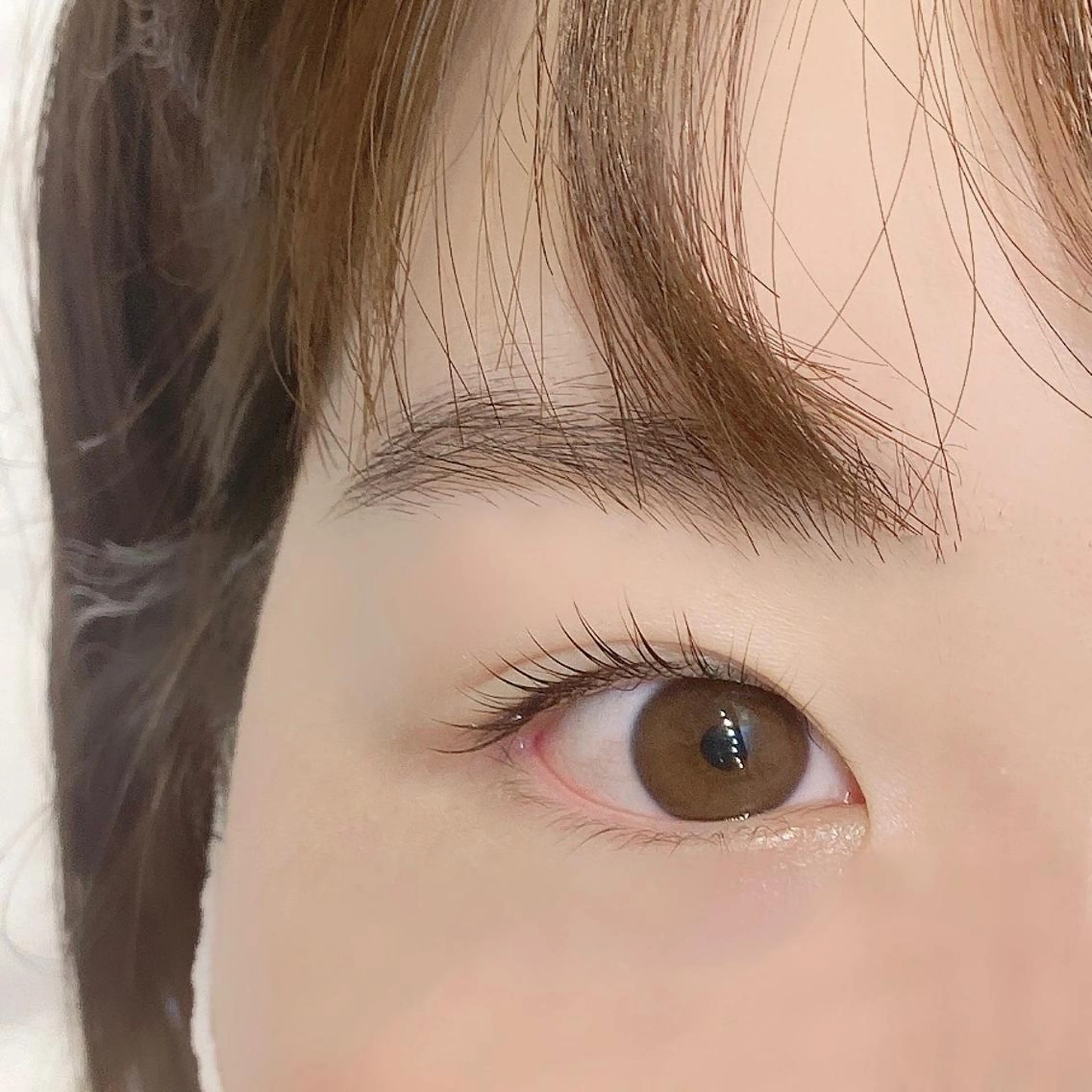 マツエク・マツパ マツパ 束感パリジェンヌ上下 恵比寿ayakaのマツエク・マツパデザイン