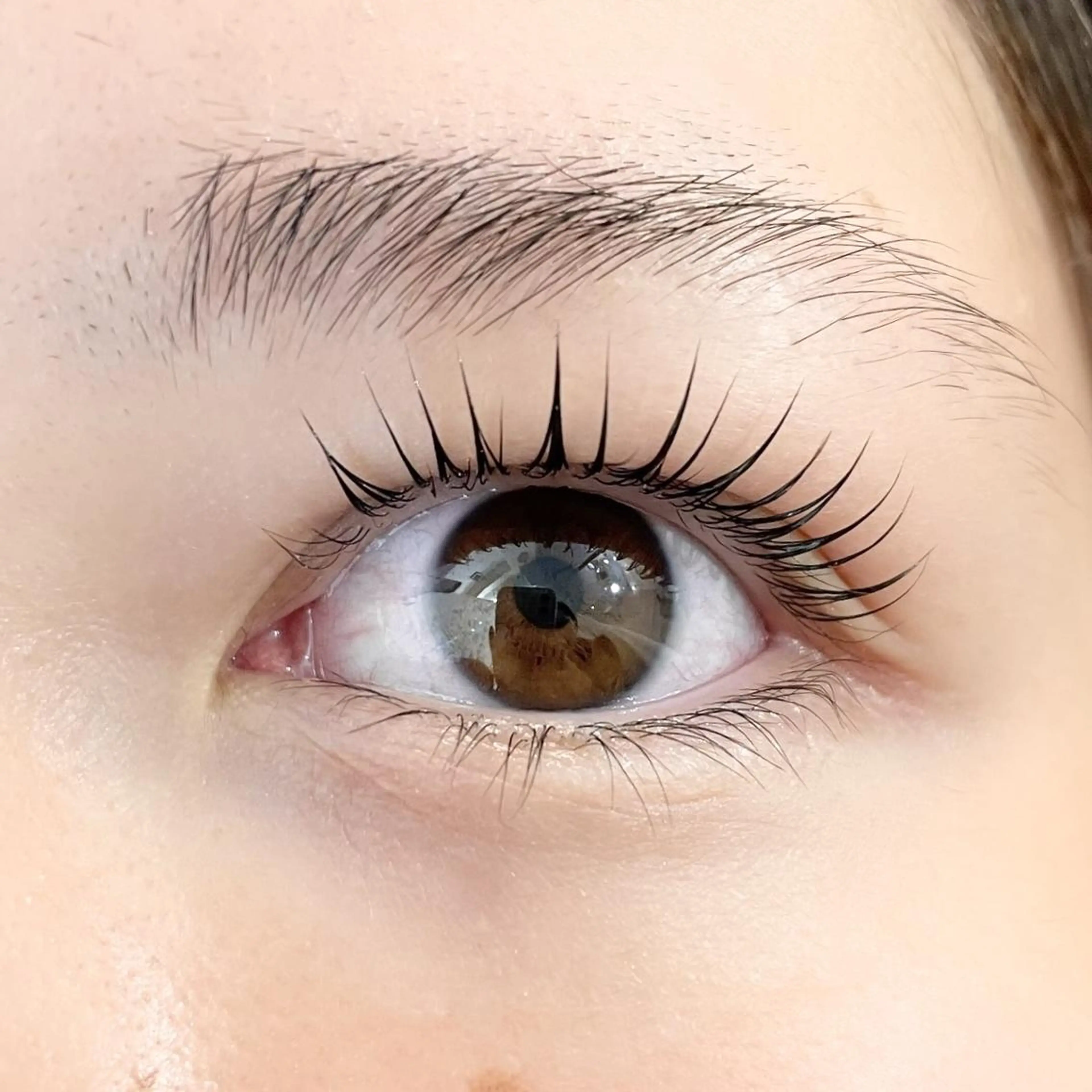 マツエク・マツパ Pualice 🌼西口🌼のマツエク・マツパデザイン