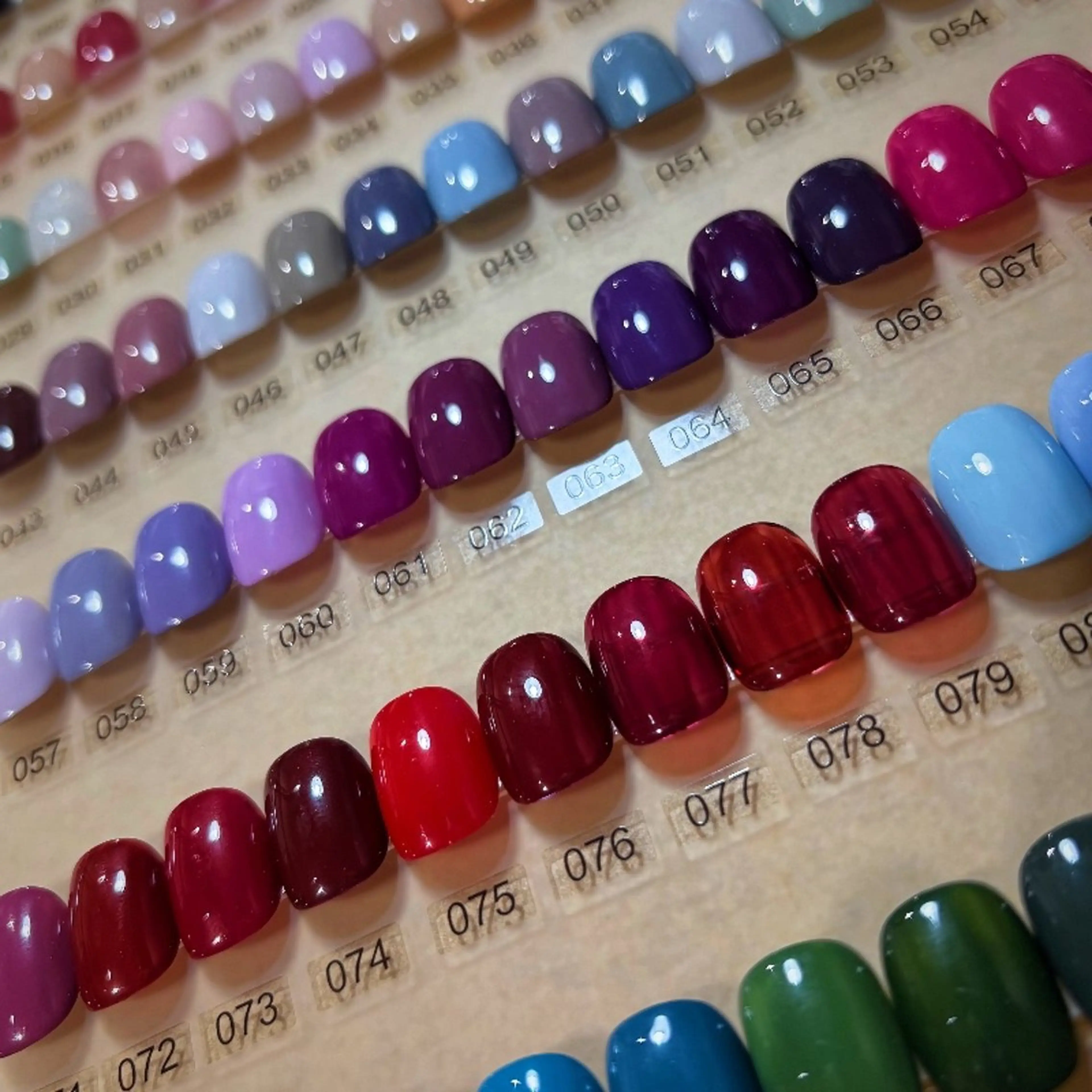 練習モデル◇NEW OPEN特典◇初回オフ無料◇チップ長さだしワンカラー ONE COLORの写真